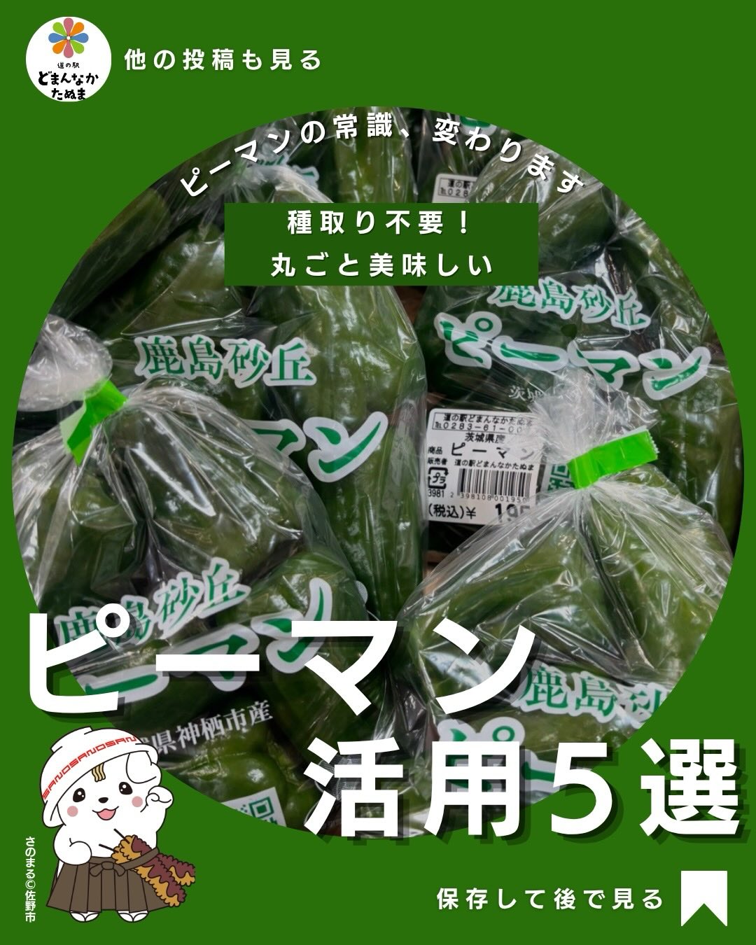 爽やかな朝ですね

本日はピーマン🫑についてお届けします

ピーマンって安いからつい買うけど
気づいたら冷蔵庫で余っていませんか？

しかも
子どもが苦手で
なかなか減らない…

そんな時に使えるのが
「簡単に消費できるレシピ」です。

今回のポイントは
とにかく簡単・時短。

・切ってレンチン
・炒めるだけ
・和えるだけ

これだけで
ちゃんと1品になります。

特におすすめは
無限ピーマン。

火を使わず
すぐできるので
忙しい日でも助かります。

塩こんぶ和えは
作り置きもできて
お弁当にも使える万能副菜。

ピーマンが苦手なお子さんには
卵炒めやおかか炒めが◎

味がまろやかになって
食べやすくなります。

そして意外と大事なのが
保存方法。

そのまま袋に入れるだけで
1週間ほど持ちます。

さらに
細切りして冷凍しておくと
いつでもすぐ使えて便利。

「あと1品どうしよう…」
そんな時に見返せるように

この投稿は
保存がおすすめです

どれ作ってみたいか
コメントで教えてください