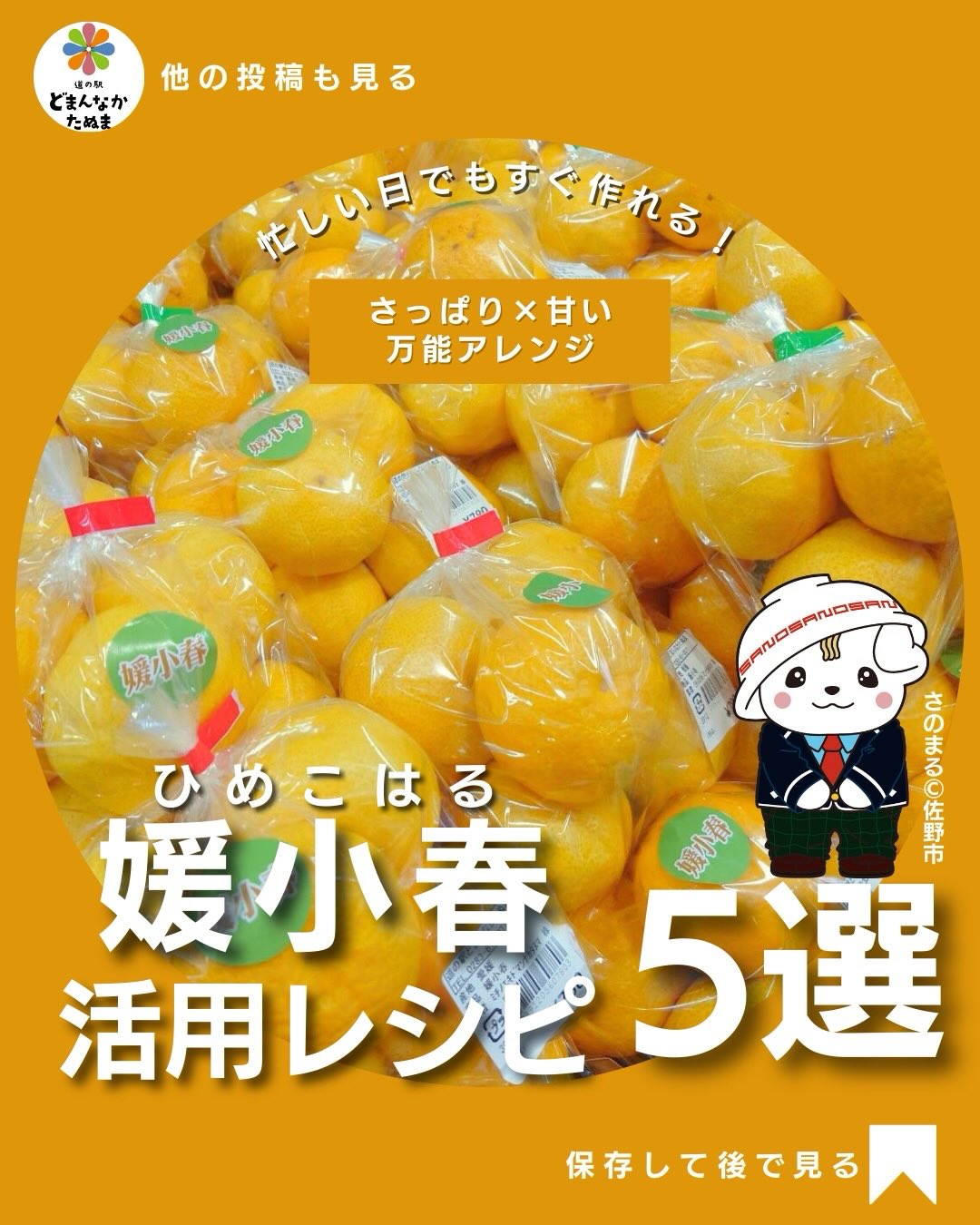 土曜日の午後…どうお過ごしですか
今日は媛小春のレシピをご紹介します^_^

正直、フルーツって
そのまま食べるだけで終わりがちじゃないですか？

でもこの「媛小春」
実はめちゃくちゃ使えるんです。

甘さと酸味のバランスが良いから
サラダ
デザート
ドリンク
作り置き

全部いける万能タイプ。

しかも今回のレシピは
全部【3ステップ以内】で作れるので忙しい日でも考えずに作れるのがポイントです。

あと一品ほしいとき
子どものおやつどうしよう問題
さっぱりしたもの食べたい日

こんな時にめちゃくちゃ助かります。

さらに
「そのまま食べる→余る→傷む」この流れも防げるので、実は節約にもつながります◎

冷蔵庫にあるだけで
何か作れる安心感がある食材です。

ぜひ保存して
困った日のネタ帳として使ってください