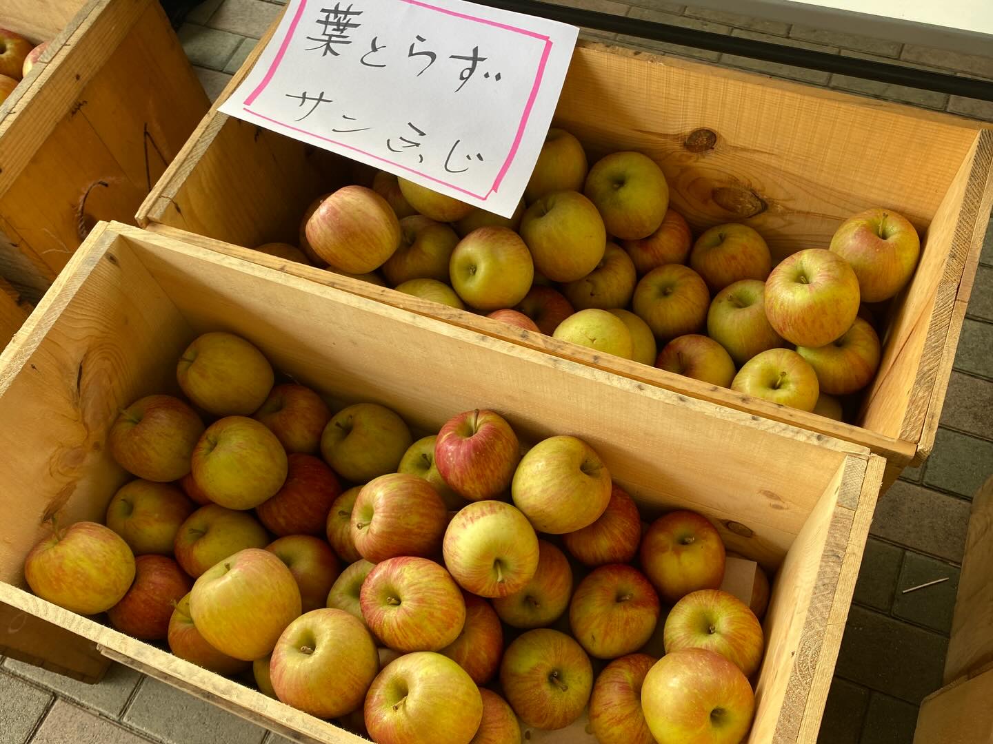 こんにちは
インフォメーションです

本日、17:00まで青森のりんご詰め放題を行なっています
バラ売りも対応しております♪

採れたてのりんごは水々しくてとても美味しいです

様々な品種を揃えておりますので、この機会にぜひ、
お立ち寄りください