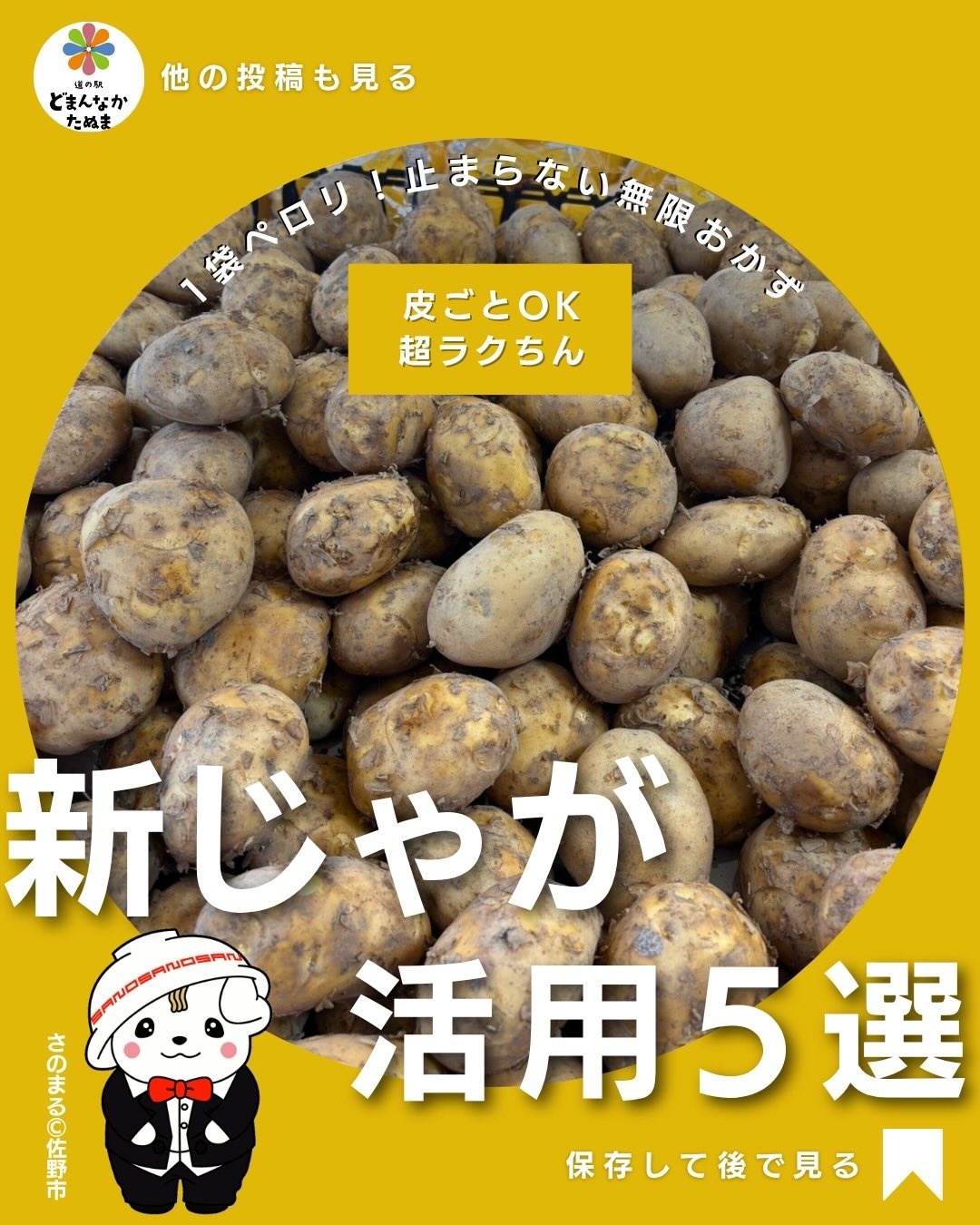 おはようございます
本日はみんな大好き「新じゃが」のお話です🥔

PR:北海道フェアも開催中です

新じゃがって
「普通のじゃがいもと何が違うの？」

そう思っていませんか？

実はこれ
かなり使いやすい食材です。

皮ごと食べられる
火が通りやすい
甘みが強い

この3つが揃っているので
“とにかくラク”なのが特徴。

普通のじゃがいもだと
皮むきがちょっと面倒ですよね。

でも新じゃがは
洗うだけでOK。

この時点で
かなり時短になります。

さらに嬉しいのが
そのまま調理できること。

・丸ごとレンチン
・切って焼くだけ
・煮るだけ

これだけで
しっかり1品になります。

特におすすめは
じゃがバターと甘辛煮。

シンプルなのに
しっかり美味しいので

家族にも喜ばれやすいです。

そしてポイントは
皮ごと使うこと”

栄養もそのまま取れるし
調理もラクになります。

さらに
まとめて茹でておくと

・サラダ
・炒め物
・お弁当

すぐ使えてかなり便利。

新じゃがは
「期間限定のごちそう」

このタイミングで使わないと
もったいない食材です。

一度使うと
リピートしたくなるので

ぜひ試してみてください。

保存しておくと
確実に使うタイミングきます