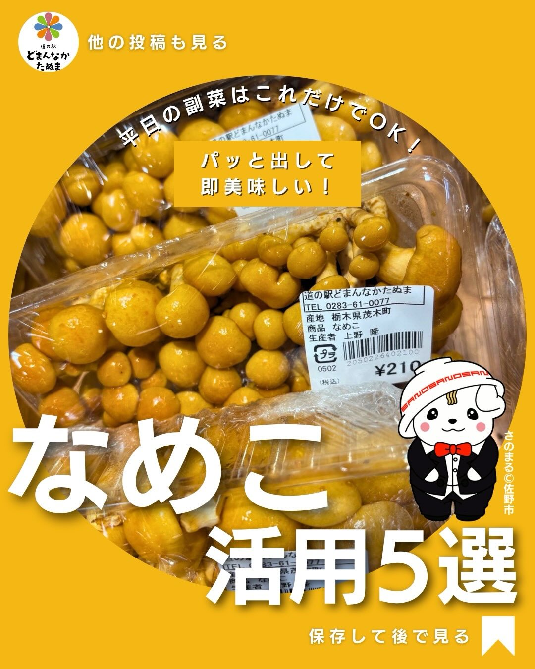 おはようございます️
肌寒い朝です。おでかけは厚着していきましょう
本日はなめこのお話です
なめこって味噌汁以外に使い道なくないですか?
しかも
気づいたら期限ギリギリ…
そんな時に便利なのが
「簡単に消費できるレシピ」です。
なめこのいいところは
包丁いらず
そのまま使える
すぐ火が通る
つまり
めちゃくちゃ時短食材なんです。
今回のレシピはすべて
・煮るだけ
・混ぜるだけ
・炒めるだけ
の簡単レベルにしています。
特におすすめは
卵とじ。
ご飯にのせるだけで
しっかり1食になるので
忙しい日にかなり助かります。
さっぱり食べたいなら
おろし和えもおすすめ。
そして意外と便利なのが冷凍。
なめこは冷凍しても
そのまま使えるので
まとめ買いしても
ムダになりません。
「あと1品どうしよう」
「何か簡単なのないかな」
そんな時に見返せるように
この投稿は保存がおすすめです
どれ作ってみたいですか?
コメントで教えてください