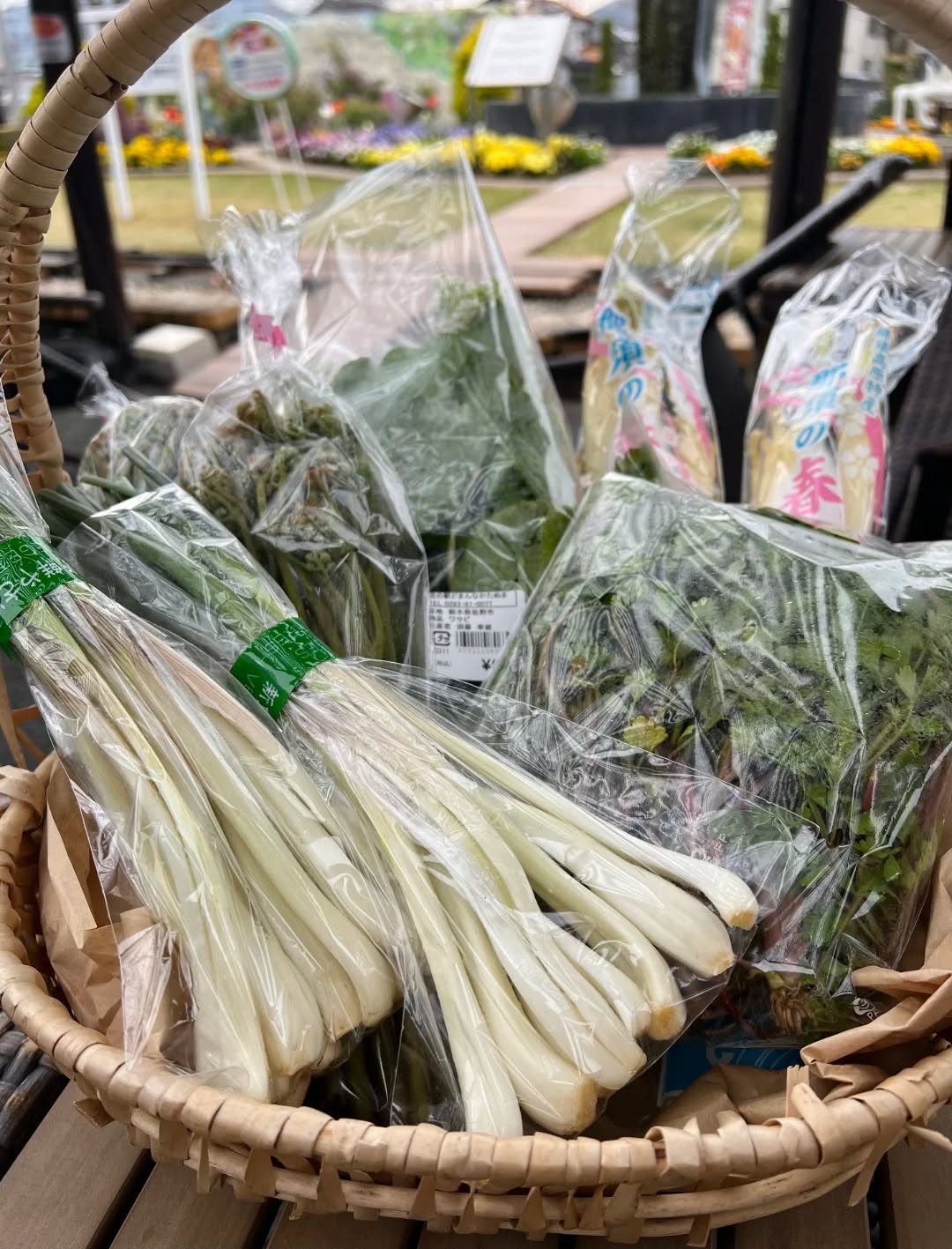 ◯
春の山菜

出荷が増えてきました

人気の【セリ】【ワラビ】
【ワサビ】も出ています！

ぜひ、どまんなかたぬまの朝採り館へ
お越しください