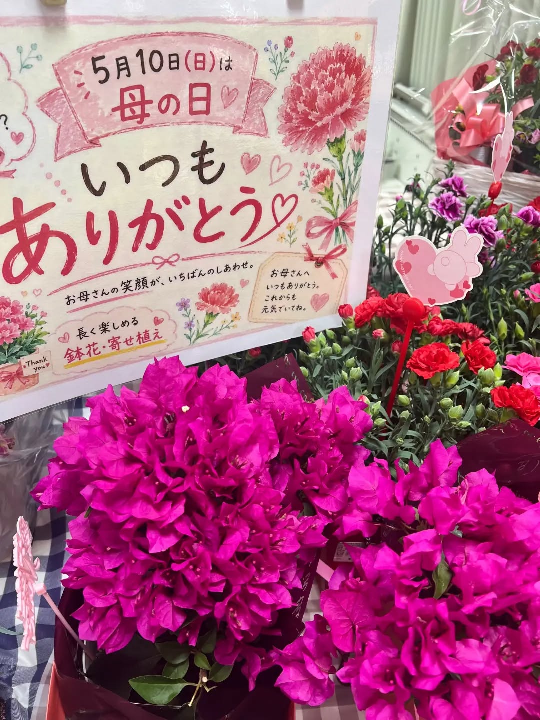 ◯
大好きなお母さんに
日頃の感謝を込めて♡

明日5月9日(日)は母の日

朝採り館に、母の日のお花が
たくさん並んでいます

可愛いお花をプレゼント
お母さんの嬉しそうなお顔が目に浮かびます️