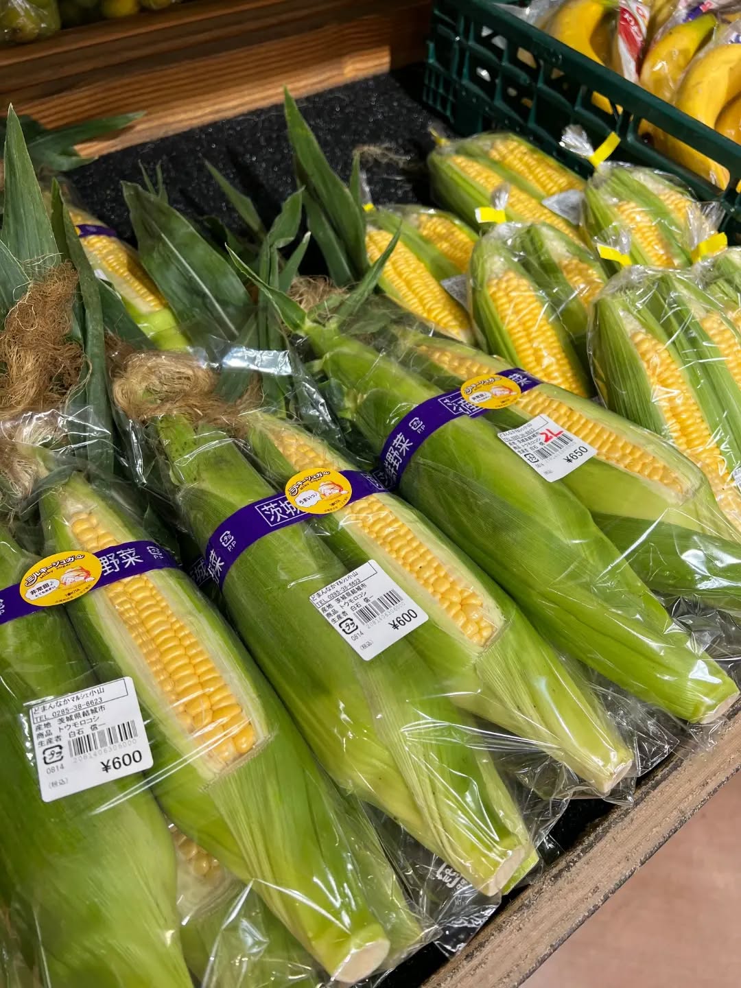 ◯
トウモロコシ【ミルキーシュガー】
出荷されています

初夏を感じる野菜がたくさん出始めました️

お酒を飲むのが楽しみになる季節ですね