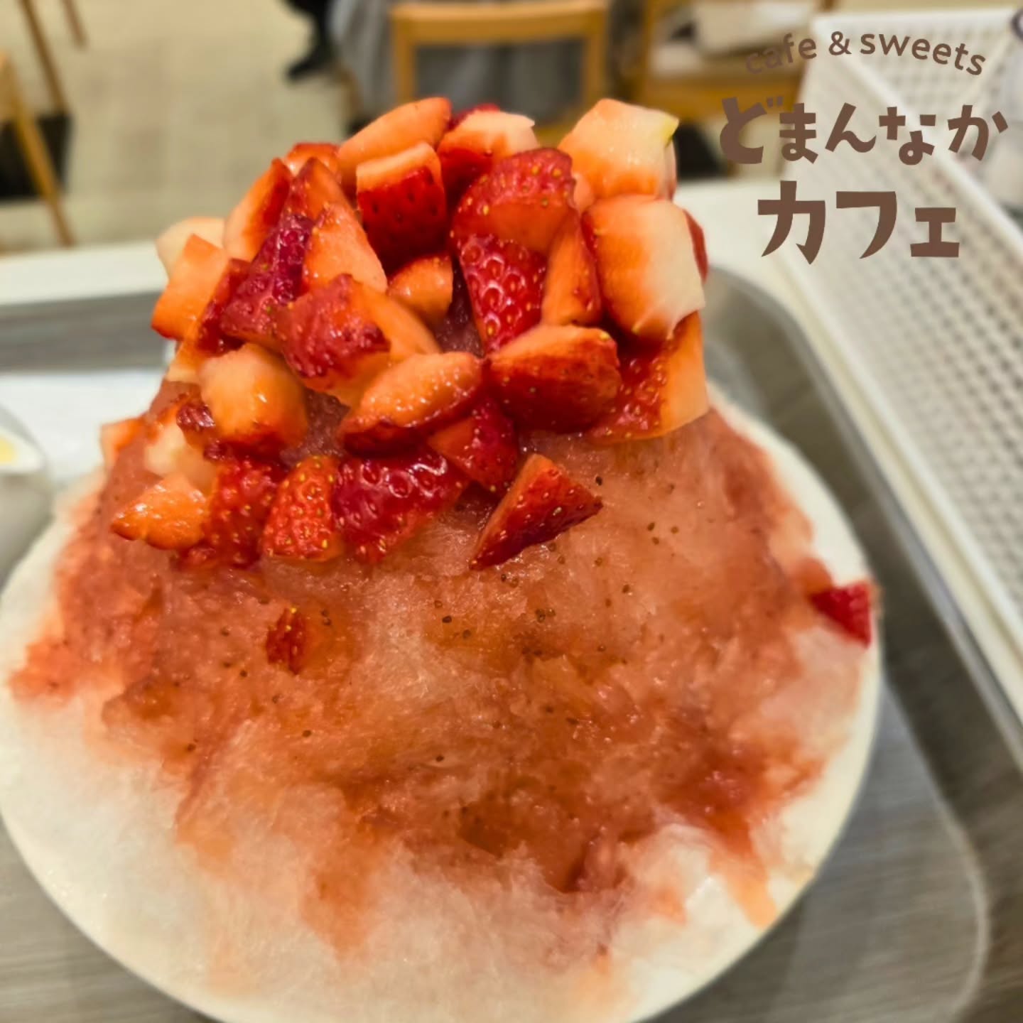 こんにちは！ です
今日もいいお天気になりそうですね️
かき氷はいかがですか
写真は天然氷いちご畑です。
ぜひご利用ください！