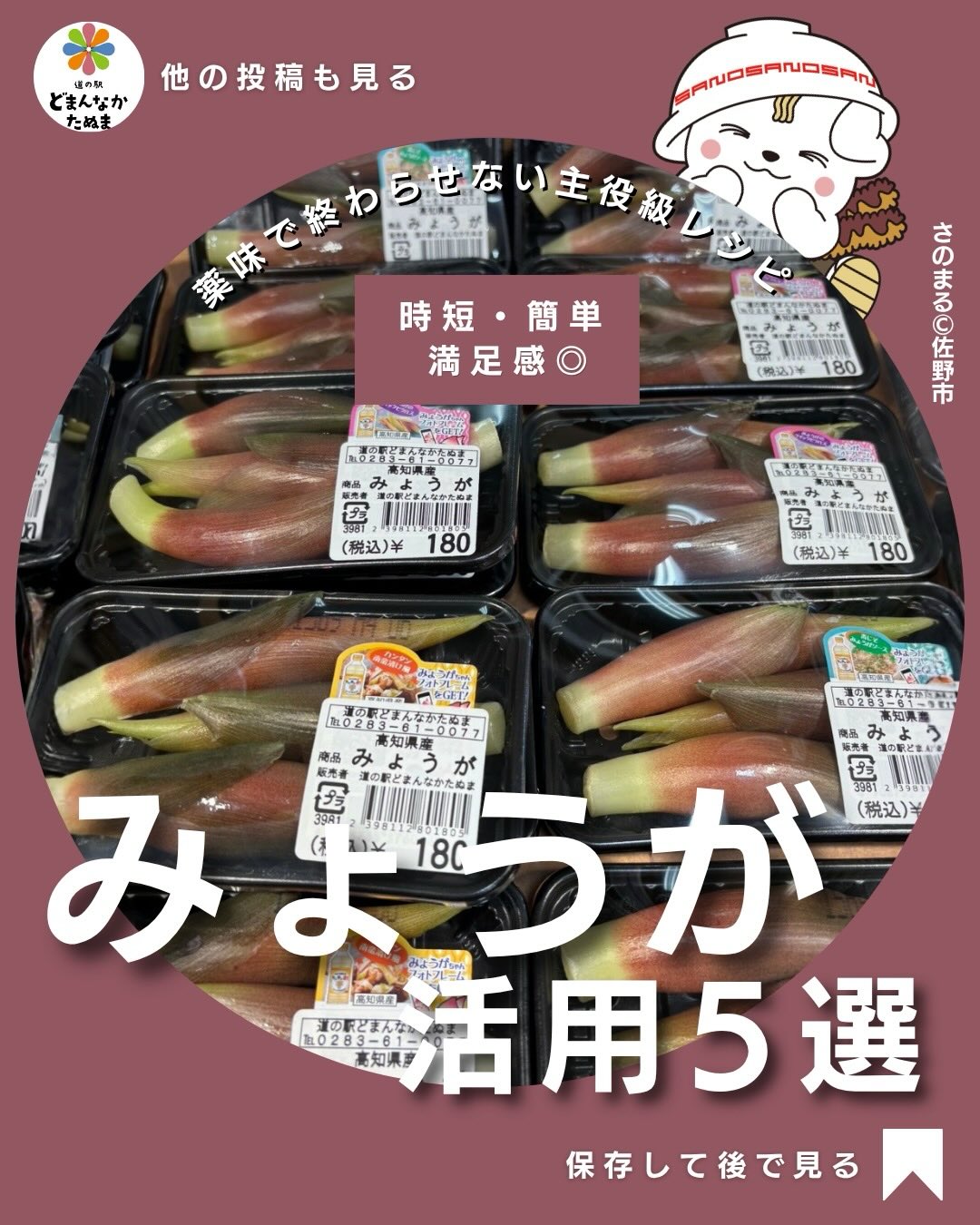 みょうがって「薬味でちょっと使うだけ」で
終わっていませんか？

実はちょっと工夫するだけで
しっかり1品になる食材なんです

切るだけでOK
火を使わなくても作れる
さっぱりして食欲なくても食べやすい

特に夏や疲れてる日は
さっぱり×簡単がかなり助かりますよね。

今回のレシピは全部
・3ステップ以内
・家にある調味料だけ
・誰でもすぐできる

ようにしています。

おすすめの使い方は
・ツナ和え → 忙しい日
・冷奴 → 即完成
・味噌和え → 作り置き

みょうがは日持ちしにくいので買ったらすぐ使い切るパターンを持っておくのが大事です。

保存しておけば
絶対また使います

どれ作るかもぜひ教えてください️