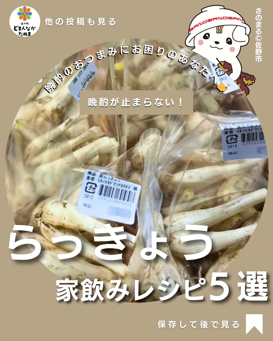 おはようございます

今日はらっきょうのお話になります

「らっきょうって
漬物だけじゃないの？」

実は…
おつまみにすると最高なんです

シャキッと食感と
ほんのり辛みがクセになるので

 ビール
 ハイボール
 焼酎

との相性が抜群

しかも簡単！

切って和えるだけ、
炒めるだけ、
揚げるだけなので

忙しい日でもすぐ作れます️

特におすすめは
「らっきょうベーコン炒め」🥓

旦那さんのお箸が止まりません

さらに甘酢漬けは
作り置きにも便利なので
冷蔵庫にあると安心

「あと1品どうしよう…」

そんな日に役立つので
ぜひ保存して使ってください

気になるレシピがあったら
コメントで教えてください️