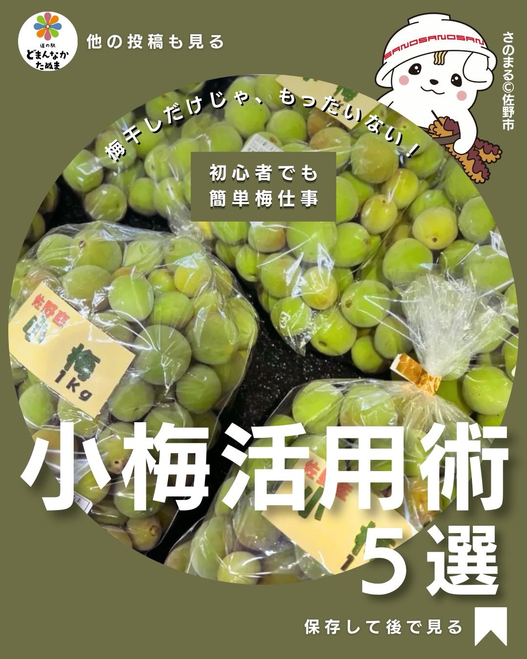 おはようございます
今日は小梅のご提案になります
毎年この時期になると出てくる「小梅」
でも…
「梅仕事って難しそう」
「手間がかかりそう」
「結局どう使えばいいの?」
って思ってませんか?🥺
実は小梅って、
簡単なのに長く楽しめる
主婦の味方食材なんです◎
今回まとめたのは、
初心者でも失敗しにくい
特別な道具なし
保存できる
家族が喜ぶ
そんな簡単レシピだけ️
特におすすめなのが
「梅しょうゆ」と「小梅シロップ」!
冷蔵庫にあるだけで、
・そうめん
・冷しゃぶ
・唐揚げ
・炭酸割り
・お弁当
まで一気に便利になります
しかも小梅は今しか出ない季節ものだから、保存レシピを知っておくと毎年役立ちます◎
「あとで作ろう!」と思ったら
まずは保存がおすすめ
気になるレシピがあったら
コメントで教えてね️
どまんなかたぬま