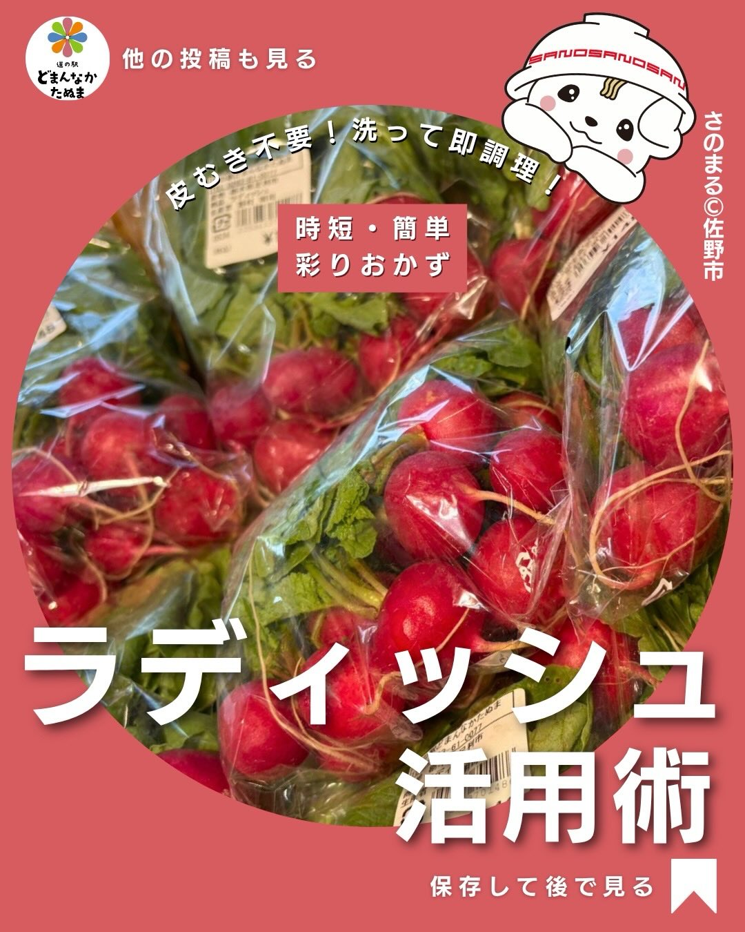 こんにちは️
GWは楽しめましたか？

今日はラディッシュのご案内となります

ラディッシュって
「サラダに少し使って終わり…」になってませんか？🥺

実はラディッシュって、

 漬ける
 焼く
 和える
 葉っぱまで使える

かなり万能な野菜なんです

しかも赤色が入るだけで、
いつもの食卓がパッと明るく見えるのも嬉しいポイント◎

今回まとめたのは、

・忙しい日でもすぐできる
・特別な材料なし
・3ステップ以内
・保存したくなる簡単レシピ

だけを厳選しました️

特におすすめなのが「甘酢漬け」！

冷蔵庫にあるだけで、

 朝ごはん
 お弁当
 晩ごはんの副菜
 おつまみ

まで大活躍します

さらに葉っぱもふりかけにすれば、丸ごと使えて節約にも◎

献立に悩んだ時に見返せるよう、ぜひ保存して使ってください

気になるレシピはコメントで教えてね️

どまんなかたぬま