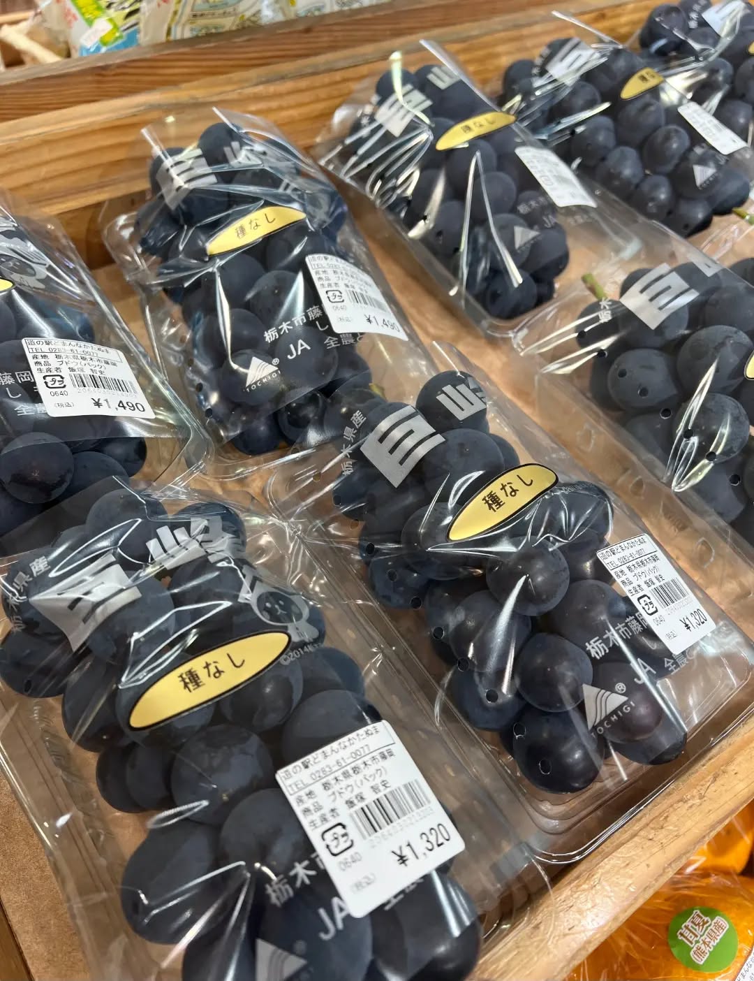 ◯
【巨峰】の出荷が始まりました

日本を代表する、ぶどうの王様【巨峰】が
朝採り館に並んでいます！

これから旬を迎えるぶどう、
一足早くお楽しみください