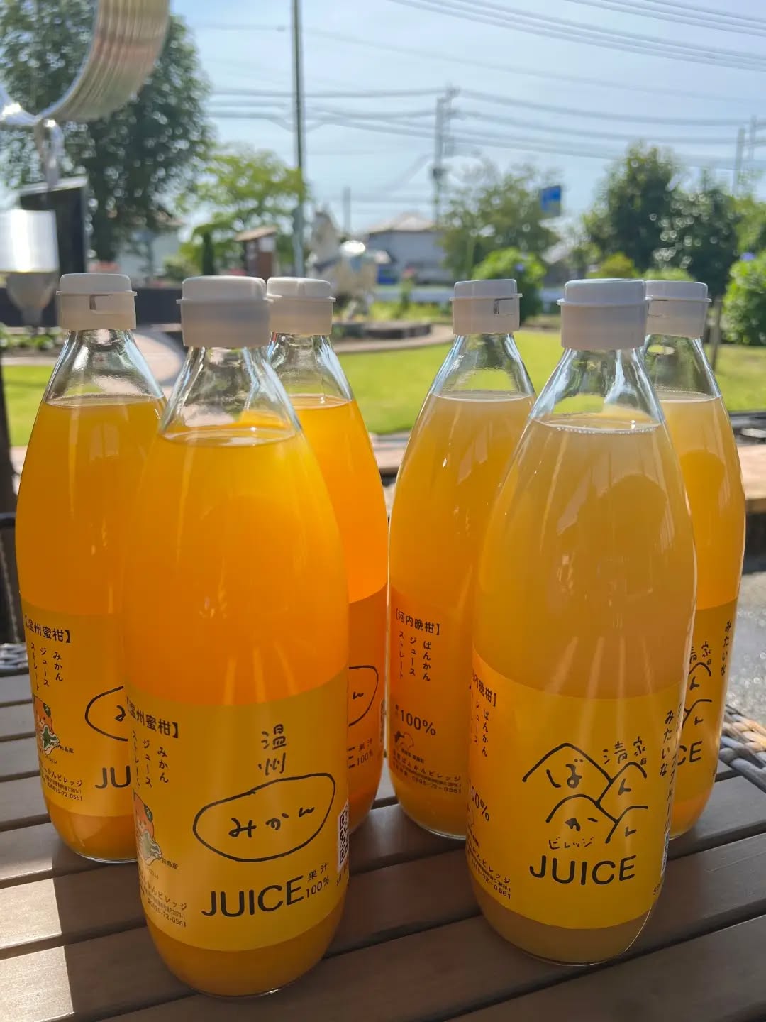◯
【清家ばんかんビレッジ】

温州みかん・河内晩柑ジュース

暑くなってきたこの時期、
飲みたくなる柑橘系ジュース

フレッシュな風味や香りをそのまま楽しめる
ストレート果汁100%です️