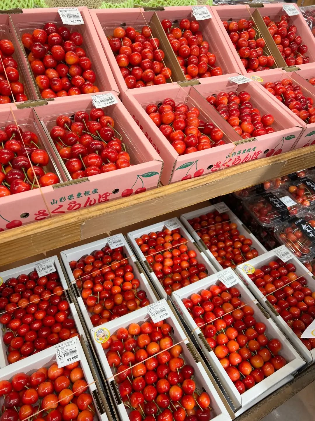 ◯


【紅秀峰】と【佐藤錦】
大人気です！

◯


【昂紀】
今年初入荷️
桃の季節の始まりです！

◯


【巨峰】
日本を代表するぶどうのひとつ
大きな粒でジューシーな果実が
魅力です️
