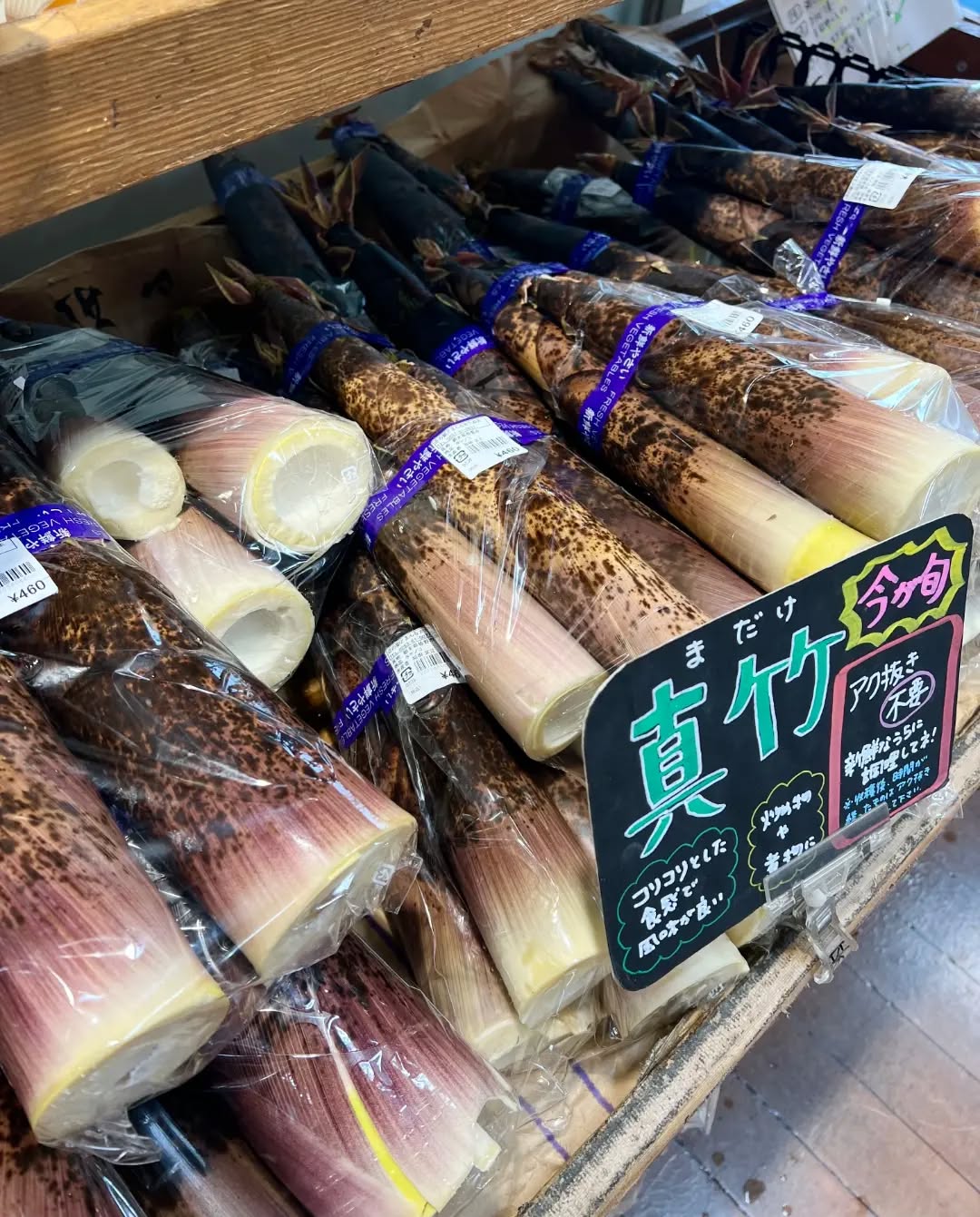 ◯
【真竹】の出荷が増えてきました！

シャキシャキ・コリコリとした歯ごたえが特徴。
アクが少ないので、短時間で柔らかく仕上がります。

旬を楽しめる【真竹】
ぜひ、お試し下さい️