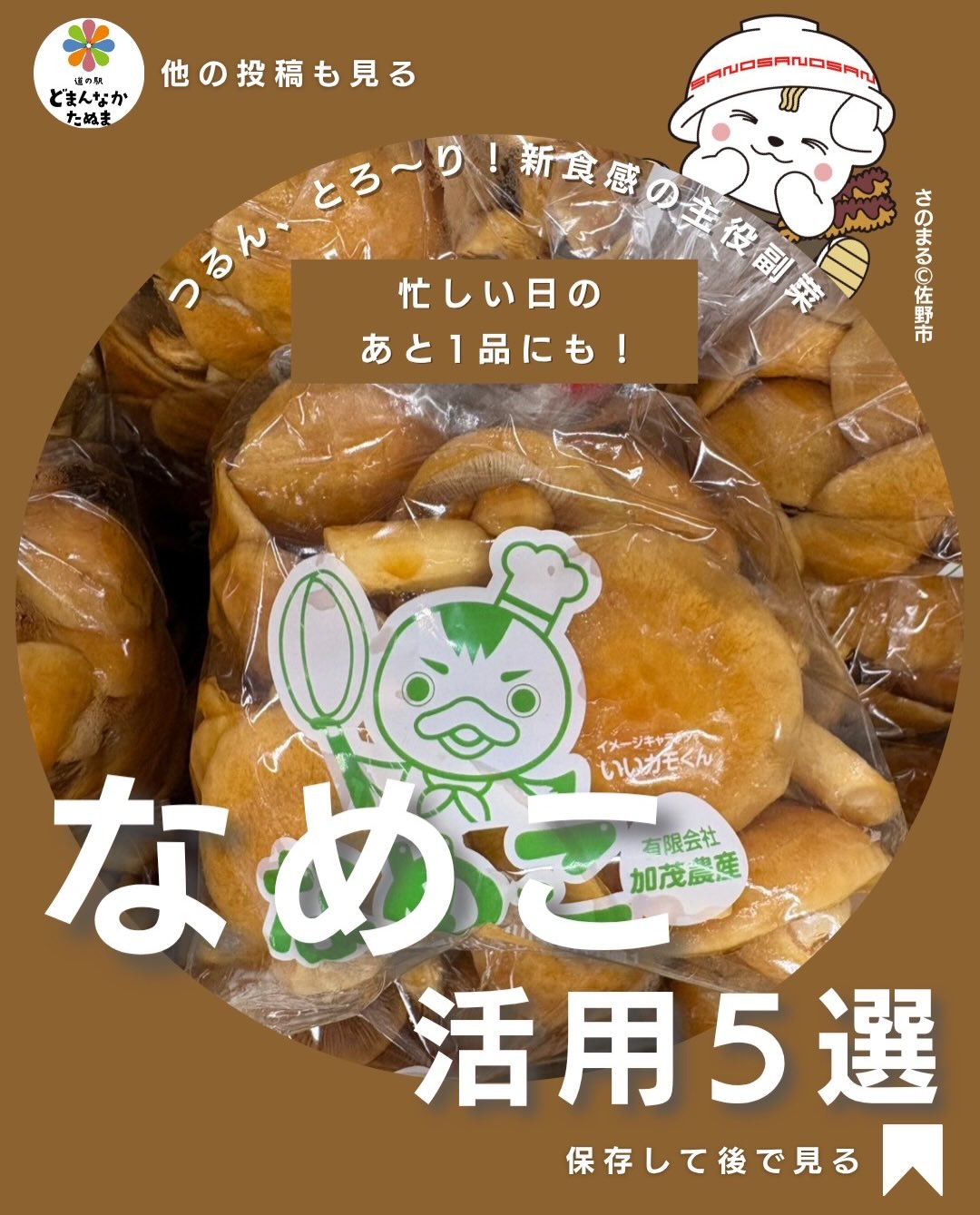 こんにちは
貴重な日曜日の朝をみなさんいかがお過ごしですか？

今日はなめこのお話です

「なめこって味噌汁しか思いつかない…」

実はなめこは、
あと1品にも主役にもなる万能食材なんです

しかも低カロリーで食物繊維たっぷり。

家計に優しく、
健康も意識できるので主婦の味方

今回紹介した5つは
どれも10分前後で作れる簡単レシピばかり。

冷蔵庫にある調味料だけでできるので
忙しい日の献立にもぴったりです。

スーパーや道の駅で見つけたら
ぜひ試してみてください

保存して後で活用してくださいね