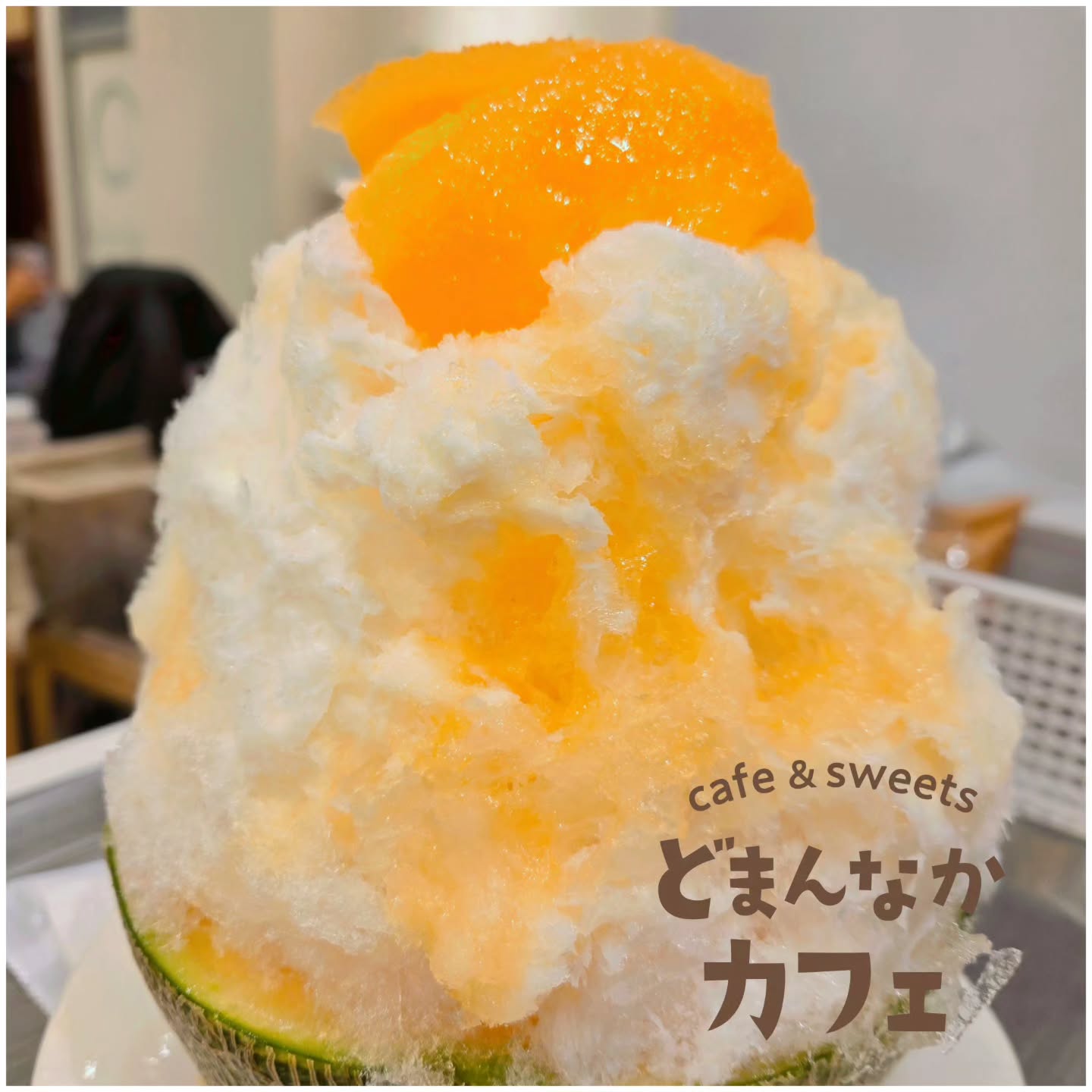 こんにちは！ です

大人気の天然氷生メロン、赤肉のタカミレッドでご提供してます！
甘味がつよくて香りもあまーい
ボリュームたっぷりかき氷！

さらに朝採り館ではこの甘いタカミレッドでお作りした『ほとんど果肉のメロンゼリー』を販売中です。

ぜひご利用ください