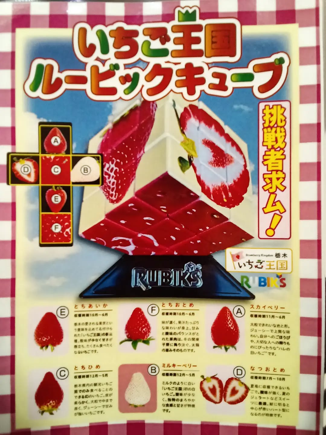 こんにちは️
本日は のご紹介です🥳


あなたの観察眼でいちごの種類を見抜き、
6面全てを揃える事ができるか…！？
C面とF面は高難易度となっております！！

挑戦者大募集中です