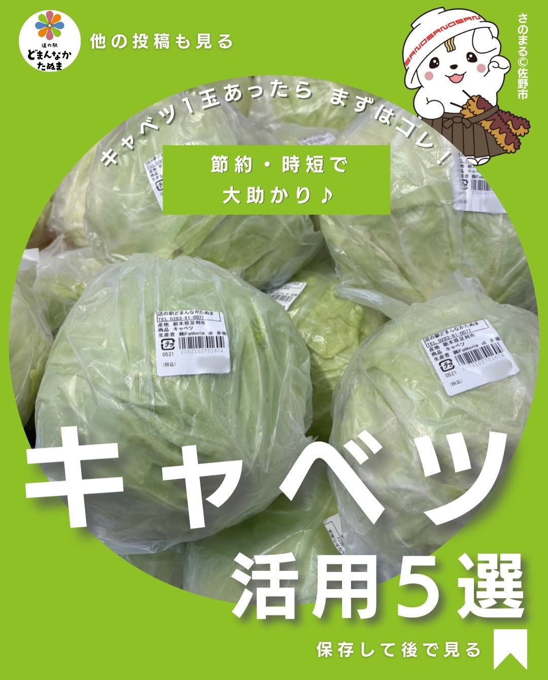旬野菜を使った10分で完成するタイパ料理のご案内です

「キャベツを買ったけど使い切れない…」

そんな経験ありませんか？

実はキャベツは
節約・時短・かさ増しの
三拍子そろった主婦の味方🥬

炒めても良し
和えても良し
煮ても良し

冷蔵庫にある食材だけで
簡単に家族が喜ぶ一品が作れます♪

特に価格が安い時期は
丸ごと買っておくのがおすすめ。

今回の5選は
どれも10分前後で完成するものばかりです。

献立に困った日に
ぜひ活用してください

保存しておけば
キャベツを買った時にすぐ見返せます

みなさんの定番キャベツレシピも
ぜひコメントで教えてください♪