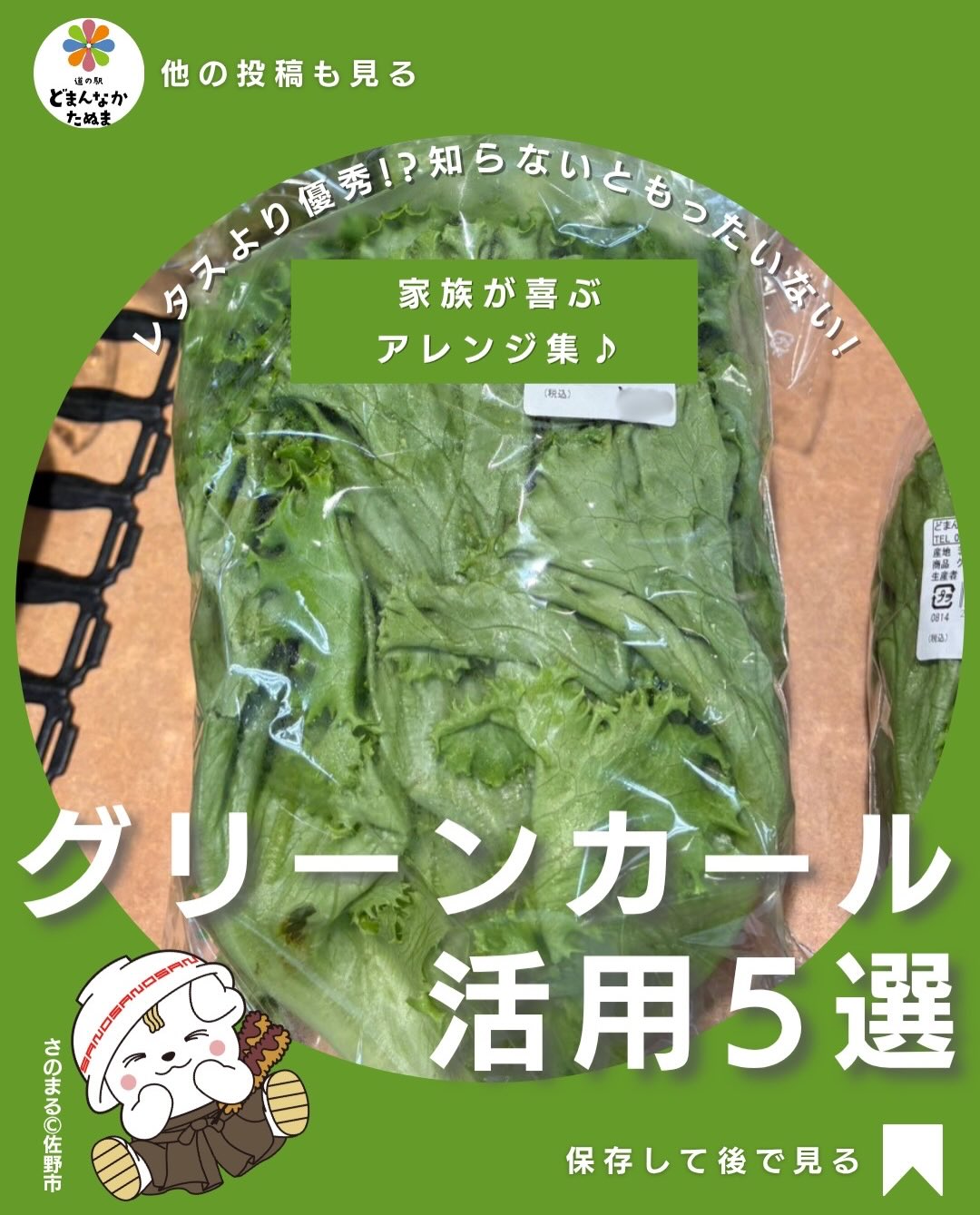 「グリーンカールって
サラダ以外に使い道あるの?」
そんな方にぜひ試してほしい活用法をまとめました🥬
実はグリーンカールは、包む・挟む・炒めるだけで普段の料理がちょっと華やかになる便利野菜。
しかも価格もお手頃でボリュームたっぷり。
あと一品欲しい日
お弁当を彩りよくしたい日
お客様が来る日の食卓
野菜をたくさん食べたい日
こんな時に大活躍します♪
特に焼肉巻きは子どもから大人まで大人気。
シャキシャキ食感とみずみずしさで、いつものメニューがワンランクアップします
保存しておけば、グリーンカールを見つけた時にすぐ使えますよ
気になるレシピは何番でしたか?
ぜひコメントで教えてください
保存してあとで見返す