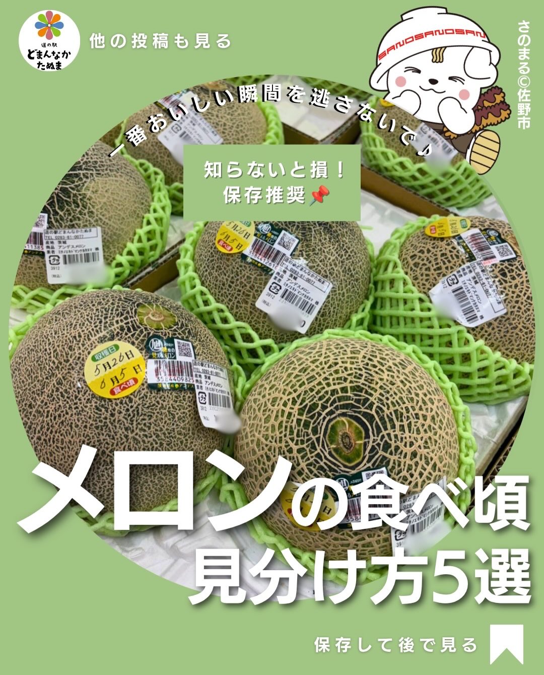 メロンを買ったものの、
「まだ早かった…」
「気づいたら熟しすぎていた…」
そんな経験ありませんか?
実はメロンは食べるタイミングによって
甘さや香りが大きく変わります。
せっかくの旬のメロンだからこそ、
一番おいしい状態で味わいたいですよね♪
今回ご紹介した5つのポイントを知っておけば、
食べ頃を見極めやすくなります。
特に今の時期は贈り物やご褒美にも人気。
購入したらぜひ
おしりの柔らかさや香りをチェックしてみてください
あとで見返せるように
保存がおすすめ
みなさんは
「少し硬め派」
それとも
「完熟とろとろ派」?
ぜひコメントで教えてください