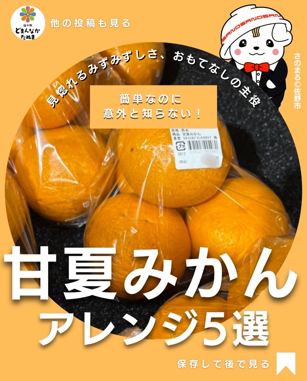 甘夏みかんを買ったけれど、
「そのまま食べるだけになってる…」
「たくさんあって食べ切れない…」
そんなことありませんか?
甘夏は爽やかな酸味と甘みが魅力。
少しアレンジするだけで、
おやつにも朝食にも、
おもてなしメニューにも大変身します♪
特にこれからの季節は
冷たいデザートやサラダとの相性抜群。
家族にも喜ばれて、
食卓がちょっと華やかになります
どれも簡単なので
ぜひ試してみてください。
あとで見返せるように
保存がおすすめ
みなさんは甘夏をどう食べるのが好きですか?
おすすめの食べ方があれば
ぜひコメントで教えてください