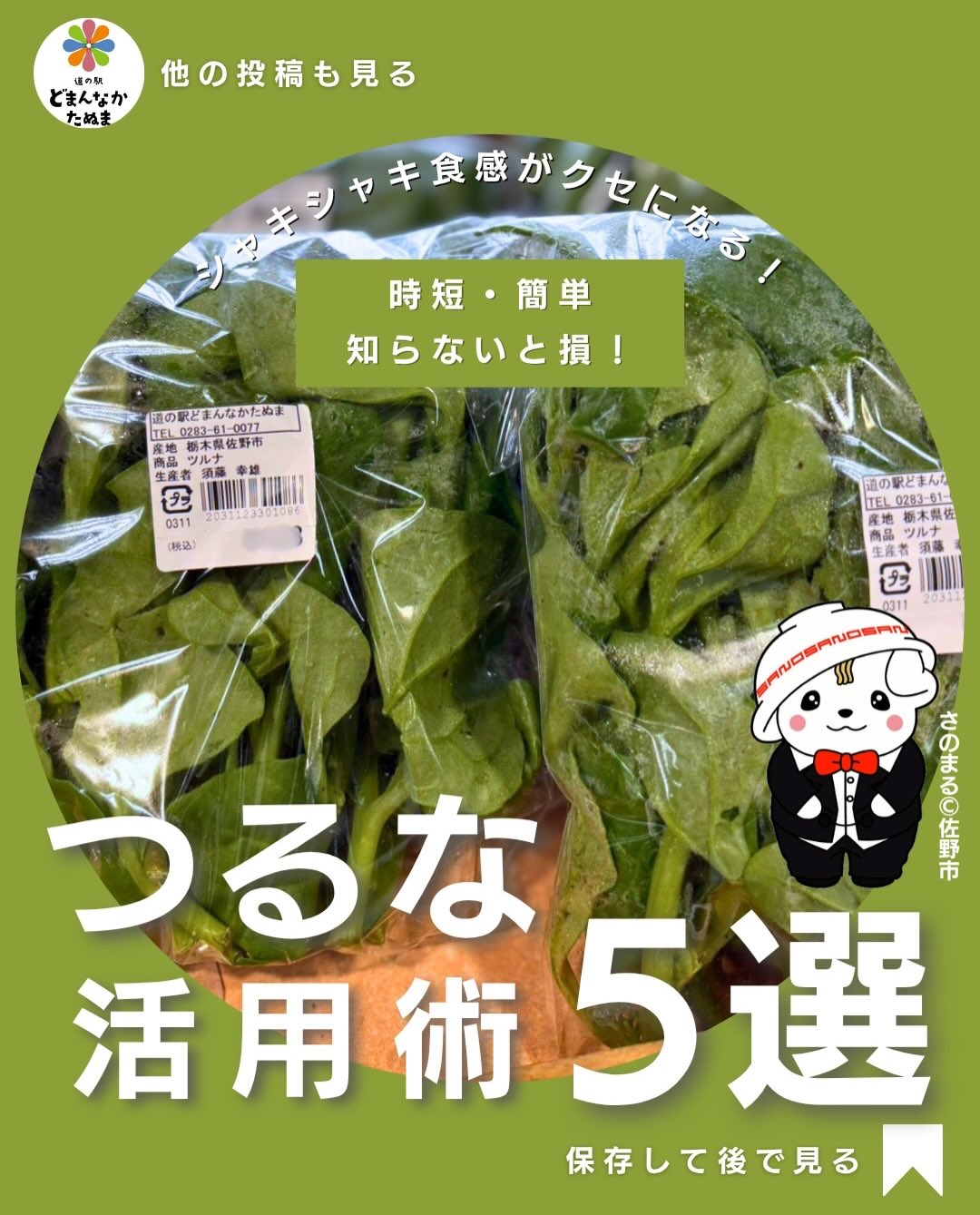 「つるなってどうやって食べるの？」

道の駅どまんなかたぬまで見かけても、調理方法が分からず買わなかった経験はありませんか？🥬

実はつるなは、
ほうれん草や小松菜のように使える便利な葉物野菜。

クセが少なく、
シャキッとした食感が特徴です

ごま和えやおひたしはもちろん、
卵炒めやベーコン炒めにもぴったり

しかも短時間で火が通るので、忙しい日の時短おかずにもおすすめです

「今日は何作ろう…」

そんな献立に悩む日のために保存しておけば安心♪

旬のつるなを見つけたらぜひ試してみてください🥬

保存をお忘れなく
