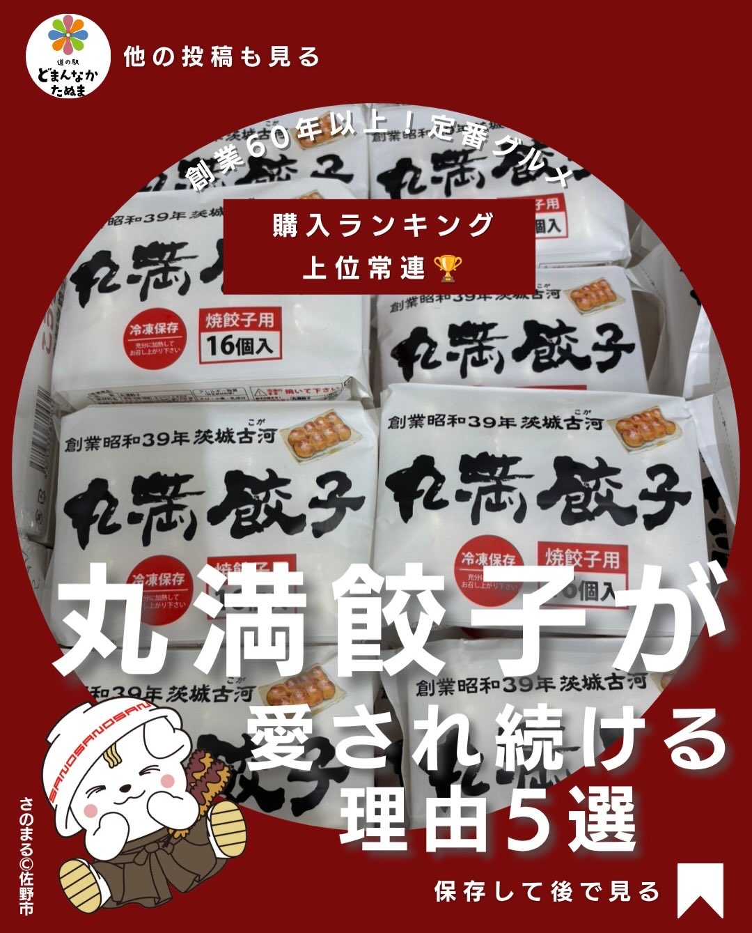 道の駅どまんなかたぬまで人気ランキング常連といえば…
【丸満餃子】は外せません🥟

昭和39年創業。茨城県古河市で誕生しました

一般的な餃子とは違う丸い形と、モチモチの皮、野菜の甘みを感じる優しい味わいが特徴です。

観光で訪れた方が購入するのはもちろん、地元のお客様が繰り返し購入するリピーター商品でもあります。

冷凍保存できるので、夕飯のおかずや晩酌のお供にもぴったり。

「今日は何を買おうかな？」

そんな時はぜひ一度手に取ってみてください
あなたは丸満餃子を食べたことがありますか？

ぜひコメントで教えてください
保存して次回のお買い物の参考にどうぞ