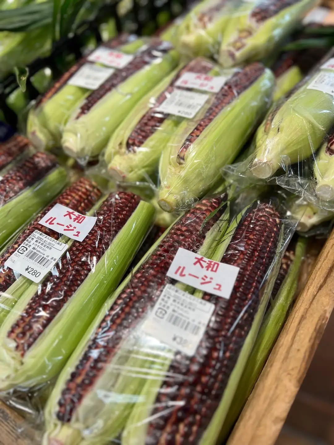 ◯
【大和ルージュ】
赤いスイートコーン

強い甘みとモチモチとした食感が特徴

茹でると赤い色素は抜けてしまうので
電子レンジで調理がオススメです

本日は【サニーショコラ】と【ドルチェドリーム】
も出荷されています！

ぜひ、どまんなかたぬま朝採り館に
お越し下さいませ️
