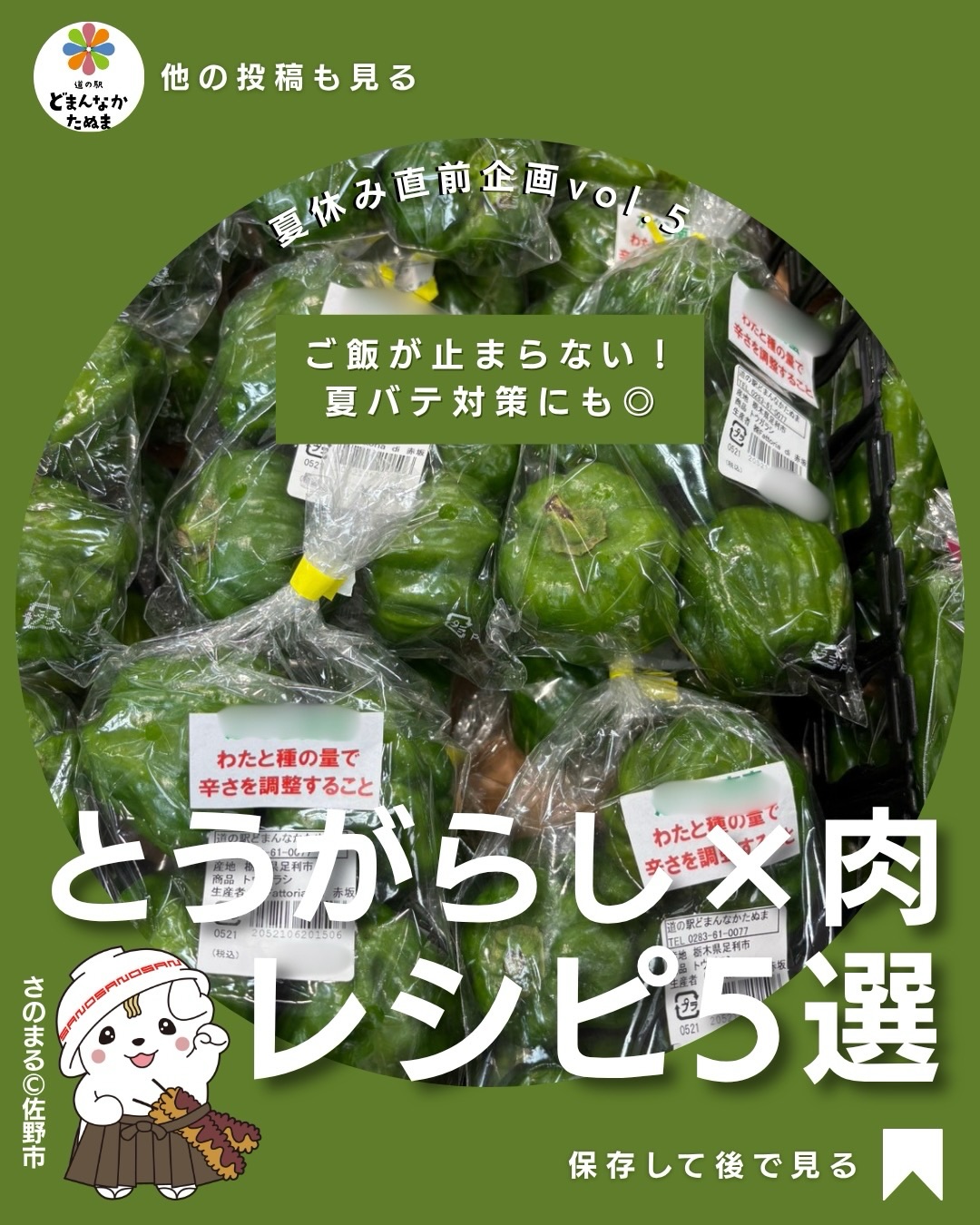 こんにちは
熱い日に無性に食べたくなる辛いものとお肉
「とうがらしって薬味くらいしか使わない…」
そんな方におすすめなのが、お肉と合わせる簡単レシピ!
少し加えるだけで香りがぐっと引き立ち、食欲が落ちがちな暑い季節でも、ご飯がすすむおかずになります
今回ご紹介するのは、
豚バラ炒め
鶏もも甘辛焼き
牛こま炒め
豚こま味噌炒め
ひき肉そぼろ
どれも3ステップ以内で完成する時短レシピです。
※辛みの強いとうがらしを使う場合は、お子さん向けには量を減らすか、取り分けてから加えると安心です。
旬のとうがらしを見つけたら、ぜひ毎日の献立に取り入れてみてください♪
「あとで作ろう!」と思ったら保存がおすすめ!
皆さんのおすすめのとうがらしレシピもぜひコメントで教えてください