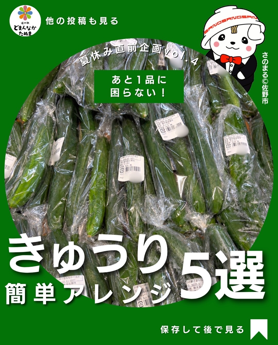 こんにちは️
連日暑い日がここから続きそうです
どうか無理せずにお過ごしください
本日はきゅうりのお話です
「きゅうりってサラダや漬物ばかり…」
そんなふうに思っていませんか?🥒
実はきゅうりは、炒める・焼く・巻くだけで家族が喜ぶ立派なおかずになります
今回は忙しい日でも作れる、
簡単・時短・節約のアレンジレシピを5つご紹介!
やみつききゅうり
豚バラ巻き
ツナサラダ
チーズ焼き
卵炒め
どれも家庭にある調味料だけで作れるので、
献立に迷った日や「あと1品ほしい!」という時にも大活躍です
旬のきゅうりはみずみずしく、暑い夏にもぴったり!
ぜひ道の駅どまんなかたぬまで新鮮なきゅうりを見つけたら試してみてください♪
「あとで作ろう!」と思ったら保存がおすすめ!
みなさんのお気に入りのきゅうりレシピも、ぜひコメントで教えてください