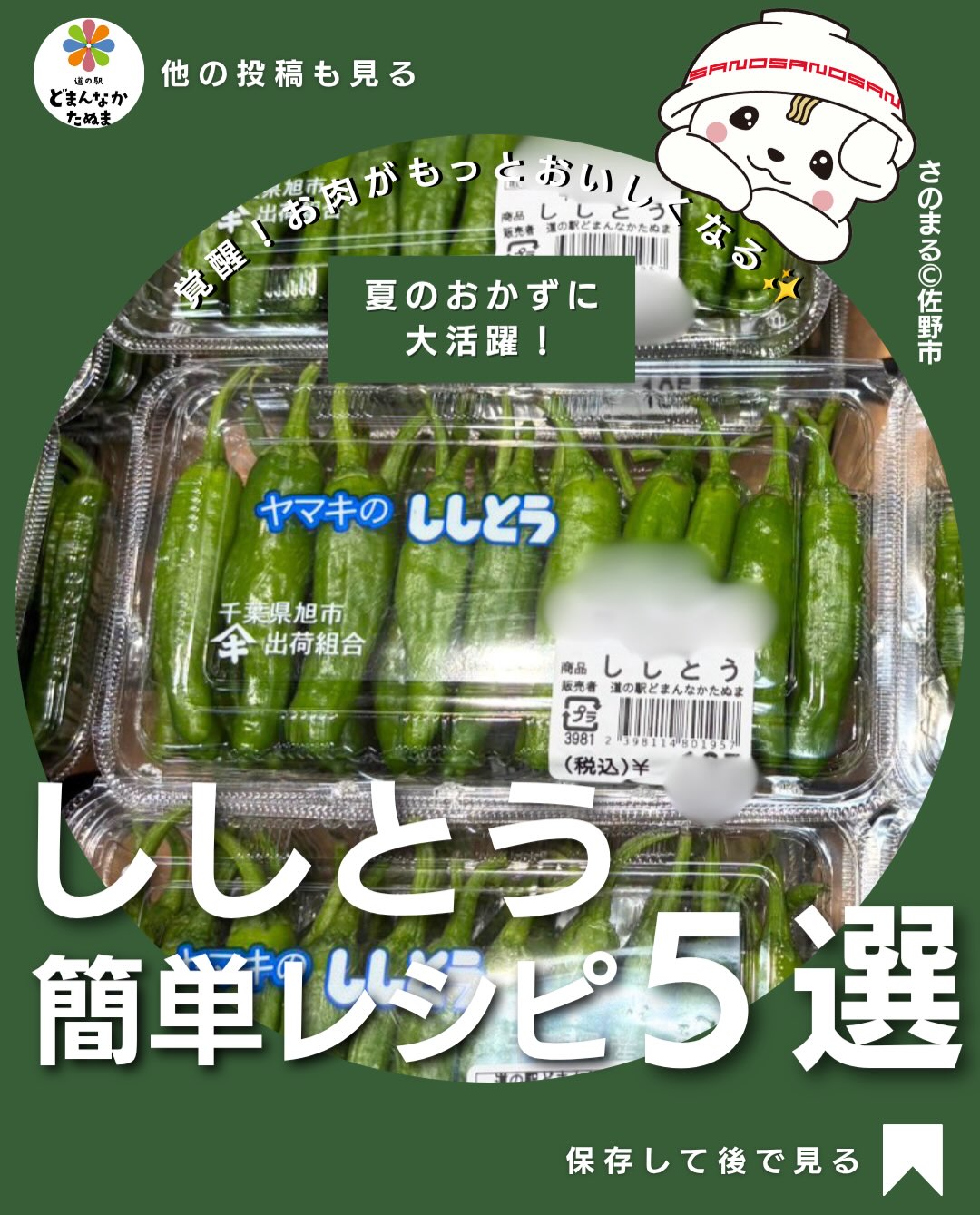 こんにちは️いよいよ暑さが増してきました
本日はししとうのお話です
夏になると店頭で見かける
ししとう🌶️
「焼くだけになりがち…」
「どう使えばいいか分からない…」
そんな方におすすめしたい、お肉との相性抜群レシピを5つご紹介します
豚バラ炒め
鶏の照り焼き
牛肉の甘辛炒め
肉巻き
鶏そぼろ炒め
どれも3ステップで完成するので、忙しい日でも手軽に作れます
ししとうはお肉の旨みを引き立ててくれる夏野菜。
彩りも良く、食卓がパッと華やかになります♪
道の駅どまんなかたぬまでも旬のししとうが並んでいます
ぜひ今日の献立に取り入れてみてください!
「今度作ろう!」と思ったら保存がおすすめ♪
