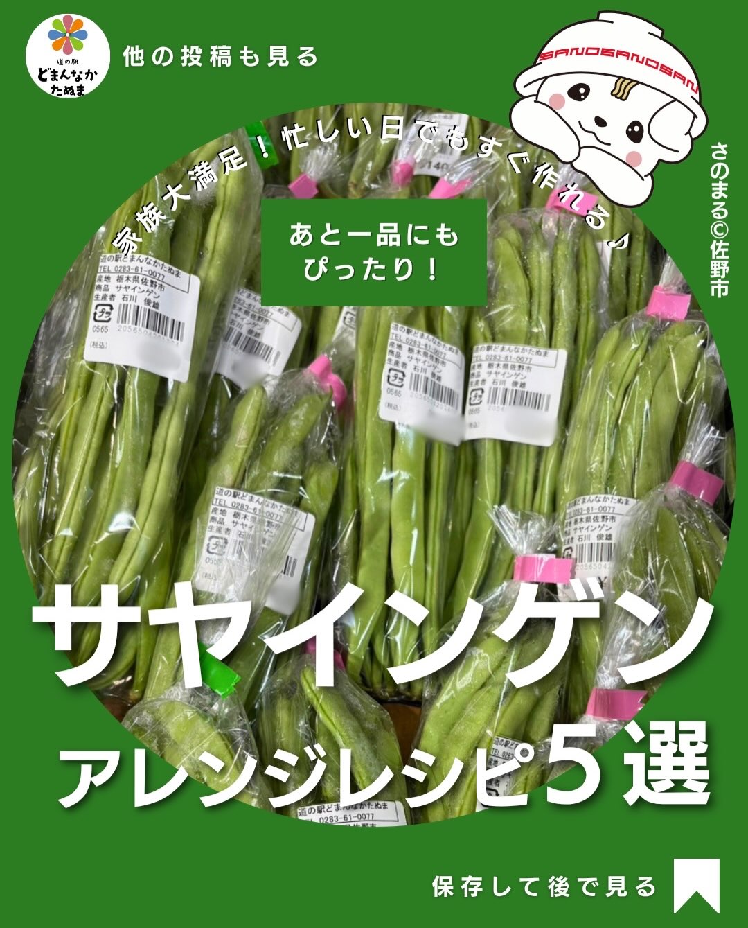 サヤインゲンを買ったものの…

「ごま和えしか思いつかない」
なんてことはありませんか？

実はサヤインゲンは、炒めても、巻いても、サラダにしてもおいしい万能野菜🥗

火の通りも早いので、忙しい日のあと一品やお弁当作りにもぴったりです

今回は家にある材料だけで作れる簡単レシピを5つまとめました！

 ごま和え
 ベーコン炒め
 ツナマヨサラダ
 卵とじ
 肉巻き

どれも10分以内で作れるので、献立に悩んだ日にぜひお試しください

保存しておけば、あと一品欲しい時にすぐ見返せます！

皆さんは何番が気になりましたか？
コメントで教えてください