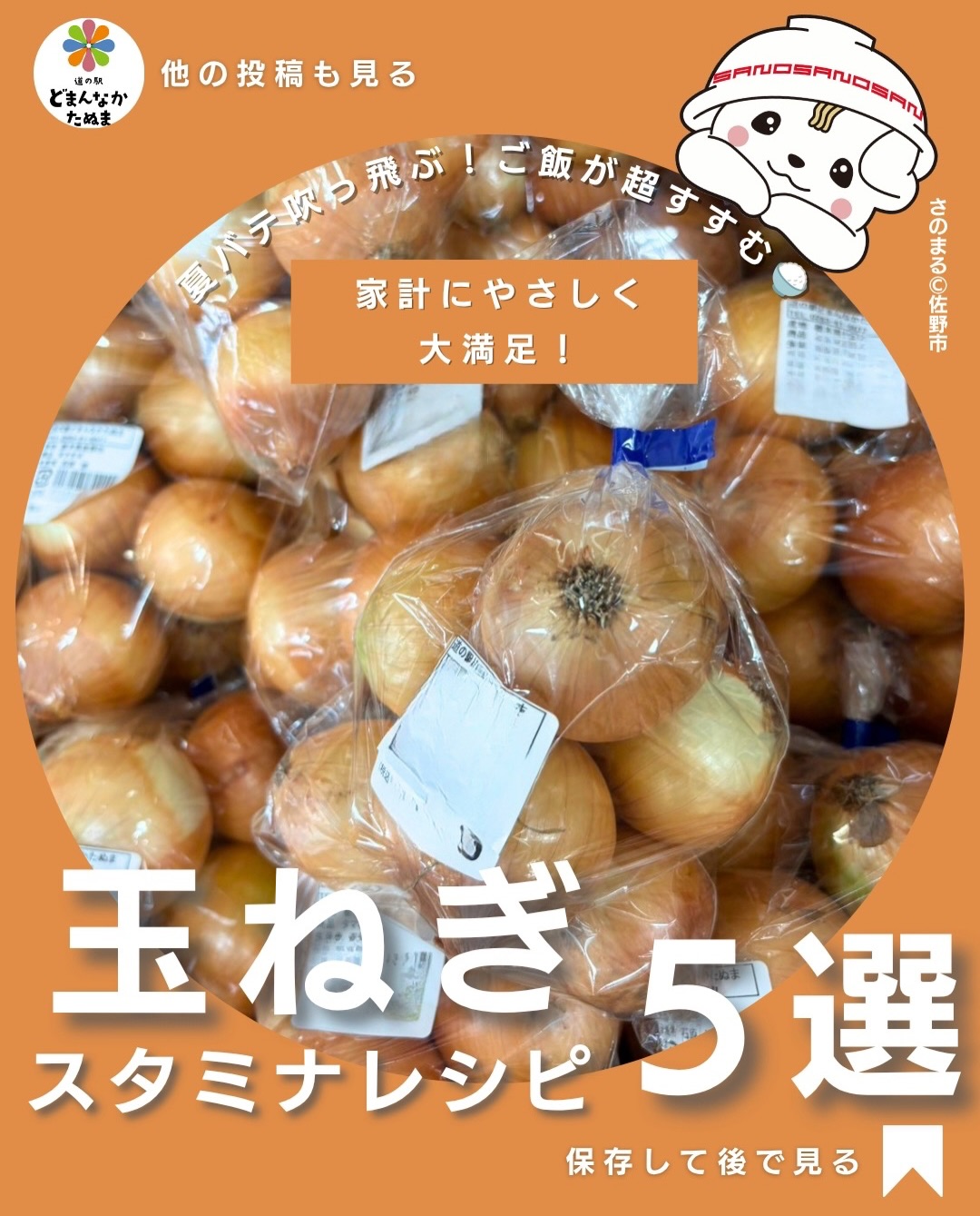 「毎日の献立、何を作ろう…」
そんな日は、家計にもやさしい玉ねぎが大活躍🧅
炒めるだけで甘くなり、お肉との相性も抜群!
今回は家族みんなが喜ぶスタミナ料理5選をご紹介します。
豚こま玉ねぎスタミナ炒め
玉ねぎの肉詰めレンジ蒸し
甘辛玉ねぎステーキ
玉ねぎとウインナーのカレー炒め
玉ねぎたっぷり焼肉丼
どれも3ステップ以内で作れるので、
忙しい日でもすぐ完成♪
玉ねぎには疲れた体をサポートしてくれる栄養も含まれているので、暑い季節の食卓にもぴったりです
「今日は何作ろう?」と迷ったら、この投稿を見返してください!
あとで作るなら保存がおすすめ!
みなさんのおうちの定番「玉ねぎレシピ」もコメントで教えてください♪