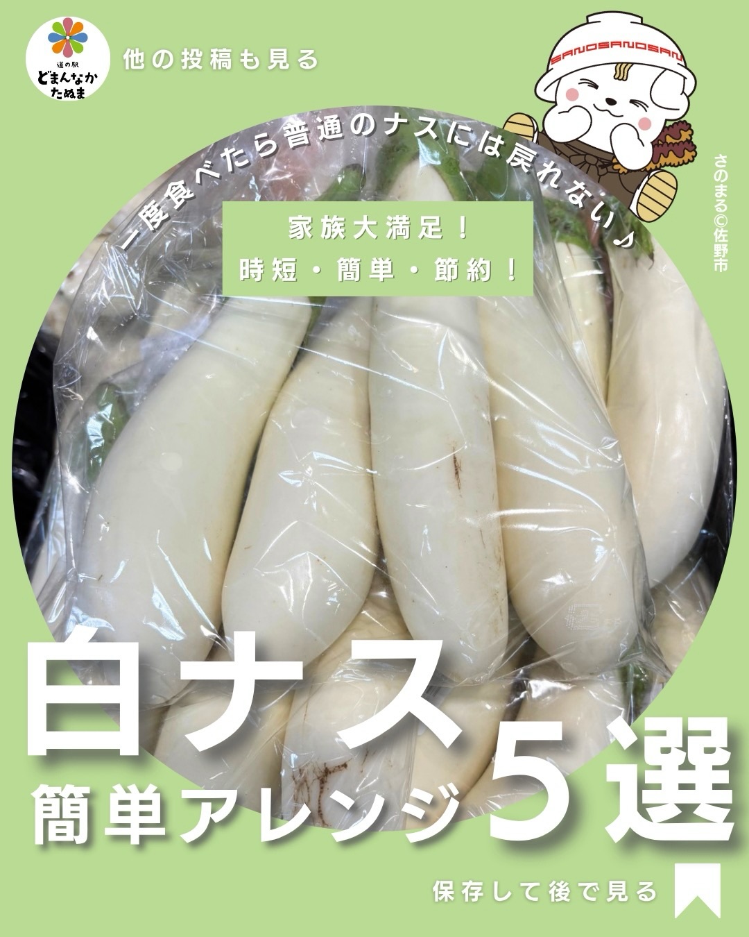 「白ナスってどうやって食べるの？」

道の駅で見かけても、使い方が分からず買わずに帰ったことはありませんか？

実は白ナスは、普通のナスよりアクが少なく、皮もやわらかいので、加熱するととろけるような食感になる夏限定のごちそう野菜です

今回は忙しい日でも作れる

 チーズ焼き
 豚バラ巻き
 バターしょうゆステーキ
 ツナマヨ焼き
 南蛮風の作り置き

の5品をご紹介しました。

どれも3ステップ以内で完成！
家庭にある調味料だけで簡単に作れるので、献立に悩んだ日にもぴったりです。

旬の白ナスならではの、とろける食感をぜひ味わってみてください♪

「あとで作ろう！」と思ったら保存がおすすめ！

みなさんのおすすめの白ナスレシピもコメントで教えてください