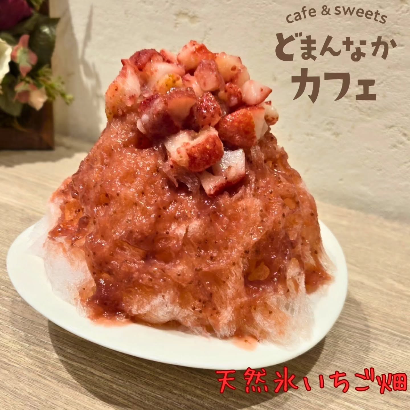こんにちは！ です

日光天然氷のかき氷のご紹介です。
一番人気の『天然氷いちご畑』
栃木県産の苺でお作りした自家製シロップにフローズンいちごをのせたかき氷です。
練乳付きです

ぜひご利用ください！
