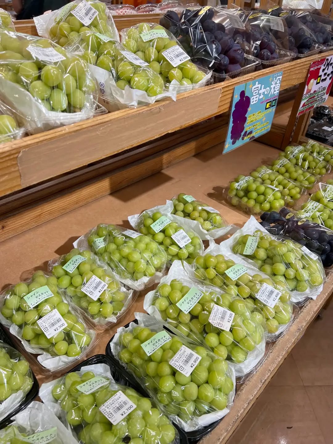◯
夏休みですね

ご家族で、お子様と一緒に、
たくさんのお客様にご来店いただき
有難いことに、毎日大盛況です

新鮮な夏のフルーツや野菜を
朝採り館で見つけて下さい！