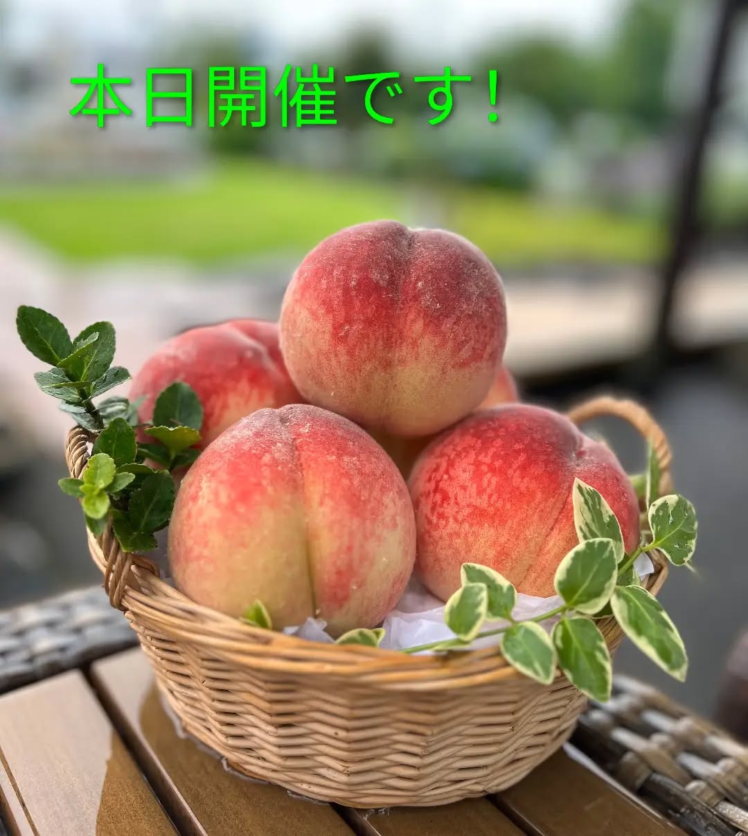 ◯
桃の特別販売

本日10:00〜
朝採り館東側・噴水前にて
福島県の道の駅国見あつかしの郷さんによる
桃の販売会を開催！

無くなり次第終了となります

皆様お誘い合わせの上、
ぜひ道の駅どまんなかたぬまへ
お越し下さい