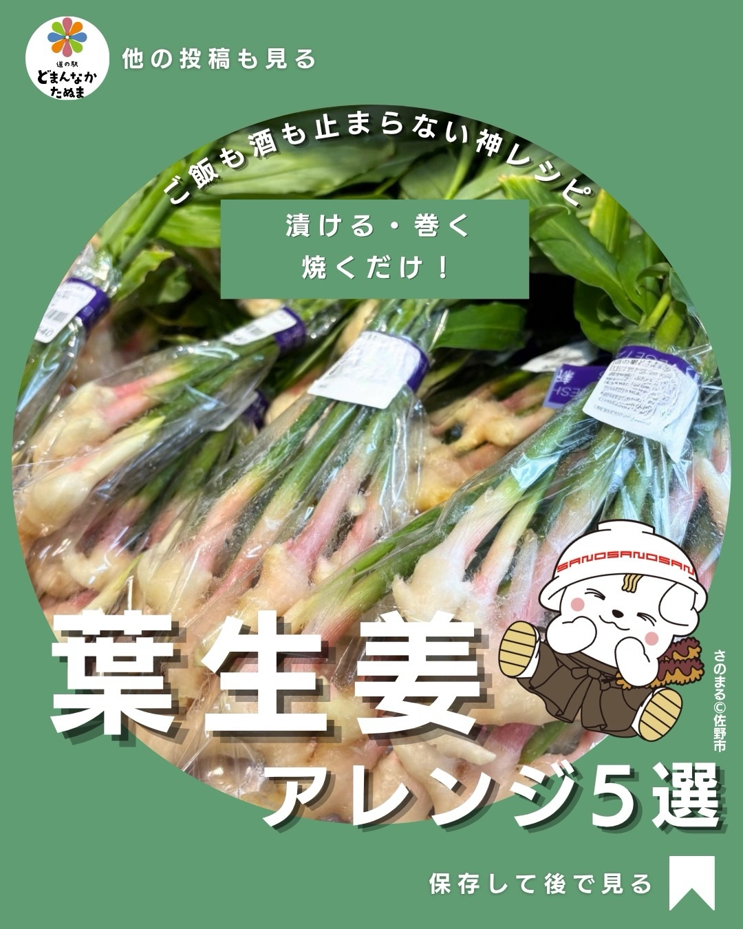 みなさんおはようございます️本日は入荷したら即完売する葉生姜のご案内です
売り場で見かける「葉生姜」、どう食べるか知っていますか?
立派な葉っぱに、小さくてみずみずしい生姜。
気になるけれど、
「普通の生姜と同じ?」
「甘酢漬け以外に何が作れるの?」
と、なかなか手が伸びない方も多いのでは
実は葉生姜は、やわらかく爽やかな風味を楽しめるので、シンプルな料理にもぴったり。
今回は難しい料理なし!
定番の甘酢漬け
🥩 家族にも出しやすい豚バラ巻き
晩酌にうれしい甘味噌焼き
ご飯が進む肉味噌
🧀 意外とハマるチーズ焼き
の5つをまとめました。
特におすすめなのが「豚バラ巻き」。
葉生姜の爽やかな風味と豚肉の旨みが合わさって、いつもの生姜とは違った食べ方を楽しめます
余ったら刻んで肉味噌にすれば、ご飯や冷奴にも使えて便利。
旬の野菜って「買ってみたいけど、食べ方が分からない」がありますよね。
そんなときのために、この投稿を保存しておくのがおすすめです。
次に葉生姜を見つけたら、ぜひ気になる一品を試してみてください♪
①〜⑤、どれを食べてみたいですか?