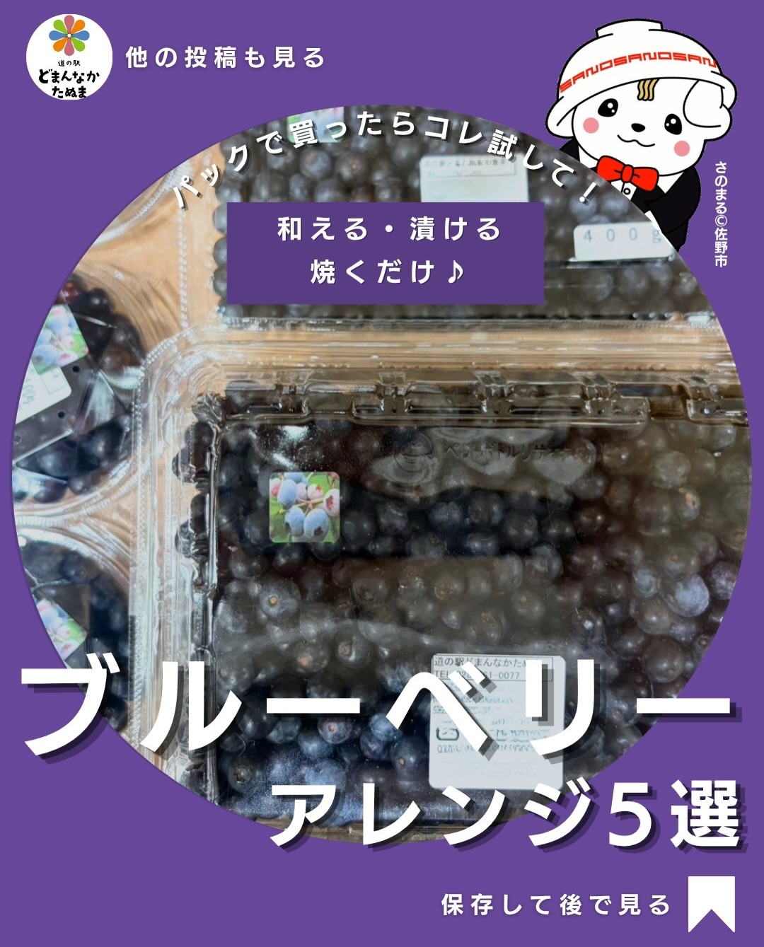 🫐ブルーベリー、ジャムやヨーグルトだけに
なっていませんか?
旬のブルーベリーを見つけると買いたくなるけれど、「結局いつも同じ食べ方…」という方も多いはず。
実はブルーベリーの甘酸っぱさは、スイーツだけでなくチーズ・豚肉・豆腐などにも合わせやすいんです
今回は、難しい料理はなし!
「漬ける」「和える」「焼く」を中心に、家にある調味料で作れるちょっと意外なブルーベリーアレンジ5選をまとめました。
たくさん手に入った日は「はちみつ酢漬け」に。
晩酌には「クリームチーズ和え」。
夕飯なら「豚肉のブルーベリーソース」。
あと一品には「豆腐の白和え」。
翌朝は「チーズトースト」に。
ブルーベリーはそのまま食べてもおいしいからこそ、少し余った分で新しい食べ方を試してみるのもおすすめです
特に「豚肉×ブルーベリー」は、初めて見ると驚きますが、甘酸っぱさをソースとして使うのがポイント。
「今度ブルーベリーを買ったら試そう」と思ったものがあったら、忘れないように保存しておいてください♪
①〜⑤で一番気になった食べ方はどれですか?