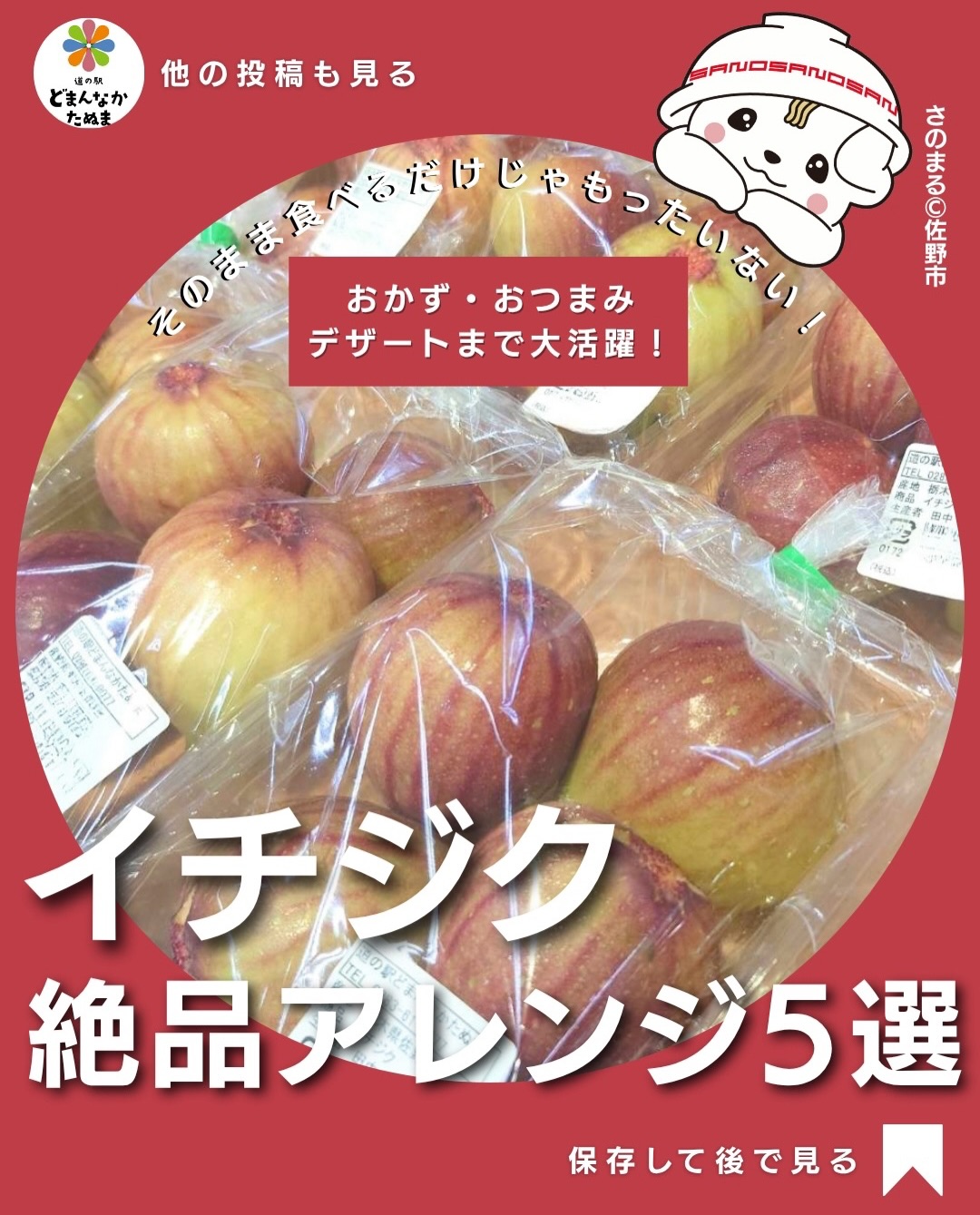 「イチジクっておいしいけど、結局そのまま食べるだけ…」

旬になると食べたくなるイチジク。
でも、意外と食べ方が思いつかない果物でもありませんか？

実はイチジクはデザートだけじゃなく、
味噌・チーズ・豚肉・しょうゆなどの“しょっぱい味”とも相性◎

今回は、

🧀 おつまみに「味噌チーズ焼き」
🥩 晩ごはんに「豚肉巻き」
🥗 あと一品に「さっぱりマリネ」
 朝食に「イチジクトースト」
 おやつに「ひんやりアイス」

と、食べるシーンで選べる5品にしました。

難しい料理はありません。

切って、焼く。
巻いて、焼く。
混ぜて、冷やす。

ほとんどこれだけです

特にイチジクがたくさん手に入った日は、全部をそのまま食べようとせず、おかず・おつまみ・朝食・デザートに振り分けると最後まで楽しめます。

「こんな食べ方もあるんだ！」と思ったものがひとつあれば、今日作らなくても大丈夫。

 保存して、イチジクを買った日に見返してくださいね。

 ①〜⑤で一番試してみたいものはどれですか？
個人的に意外性No.1は「①味噌チーズ」です