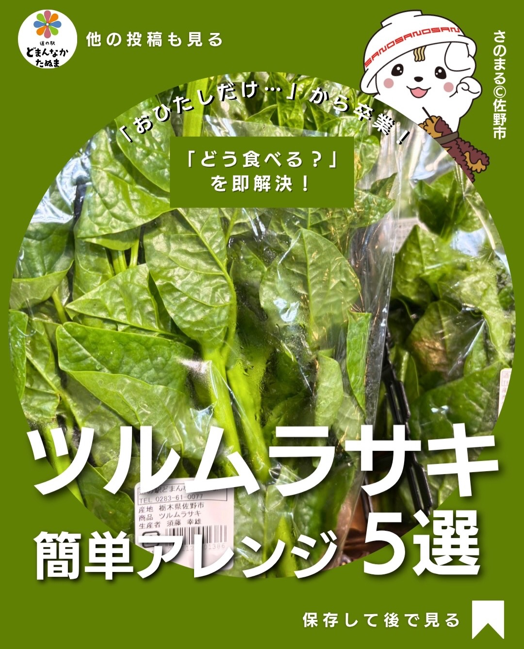 「ツルムラサキって、どう食べるの？」

直売所で見かけるけれど、
「食べ方がよく分からない」
「おひたしくらいしか思いつかない…」

そんな野菜のひとつではないでしょうか？

でも実は、ツルムラサキ特有のつるっとした食感やぬめりは、いろいろな料理と相性◎。

今回は、難しい料理は一切なし！

🥢 5分で「やみつきナムル」
🥚 家族のおかずに「ふわ玉炒め」
🥬 作り置きに「さっぱり浅漬け」
🧀 晩酌に「チーズ焼き」
🥩 メインなら「豚バラ甘辛炒め」

と、その日の献立に合わせて選べる5品をまとめました。

ポイントは、ツルムラサキを茎と葉に分けて、火の通りにくい茎から先に加熱すること。

あとは普段使っている調味料でOKです‍♀️

副菜が足りない日はナムル。
ガッツリ食べたい日は豚バラ炒め。
ちょっと変わった一品ならチーズ焼き。

「ツルムラサキを見つけたけど、何を作ろう？」という日に、この投稿を思い出してください

 今日作らなくても、旬のツルムラサキを見つけた時のために保存！

 ①〜⑤、どれが一番気になりましたか？
