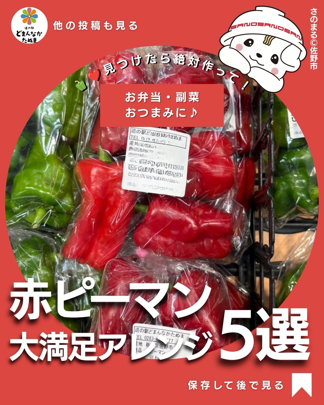 🫑️ 赤ピーマンを見つけたら、何作る？

普通の緑色のピーマンはよく買うけれど、

「赤ピーマンってどう料理するの？」
「結局、炒め物くらいしか思いつかない…」

なんてことありませんか？

せっかく食卓がパッと華やぐ赤ピーマン。今回は難しいことを考えずに作れる簡単アレンジ5選にしました

 ご飯がすすむツナ味噌焼き
🥢 冷蔵庫にあると助かる焼きびたし
🧀 子どもにも出しやすいチーズ焼き
 お弁当にも便利なおかかきんぴら
🥗 さっぱり食べられる甘酸っぱマリネ

特におすすめは
「とろとろ焼きびたし」

焼いた赤ピーマンを調味液に漬けるだけなので、夕食を作るついでに仕込んでおけば翌日の「あと一品どうしよう？」にも使えます。

たくさん買った日は、
「今日はチーズ焼き」
「残りは作り置き」
という使い分けも◎

旬の野菜は、レシピを何種類か保存しておくと買い物のあとに悩みません

赤ピーマンを見つけた時にすぐ使えるように……

 この投稿を保存して、買った日に見返してください！

 ①〜⑤、いちばん作ってみたいものをコメントで教えてください
