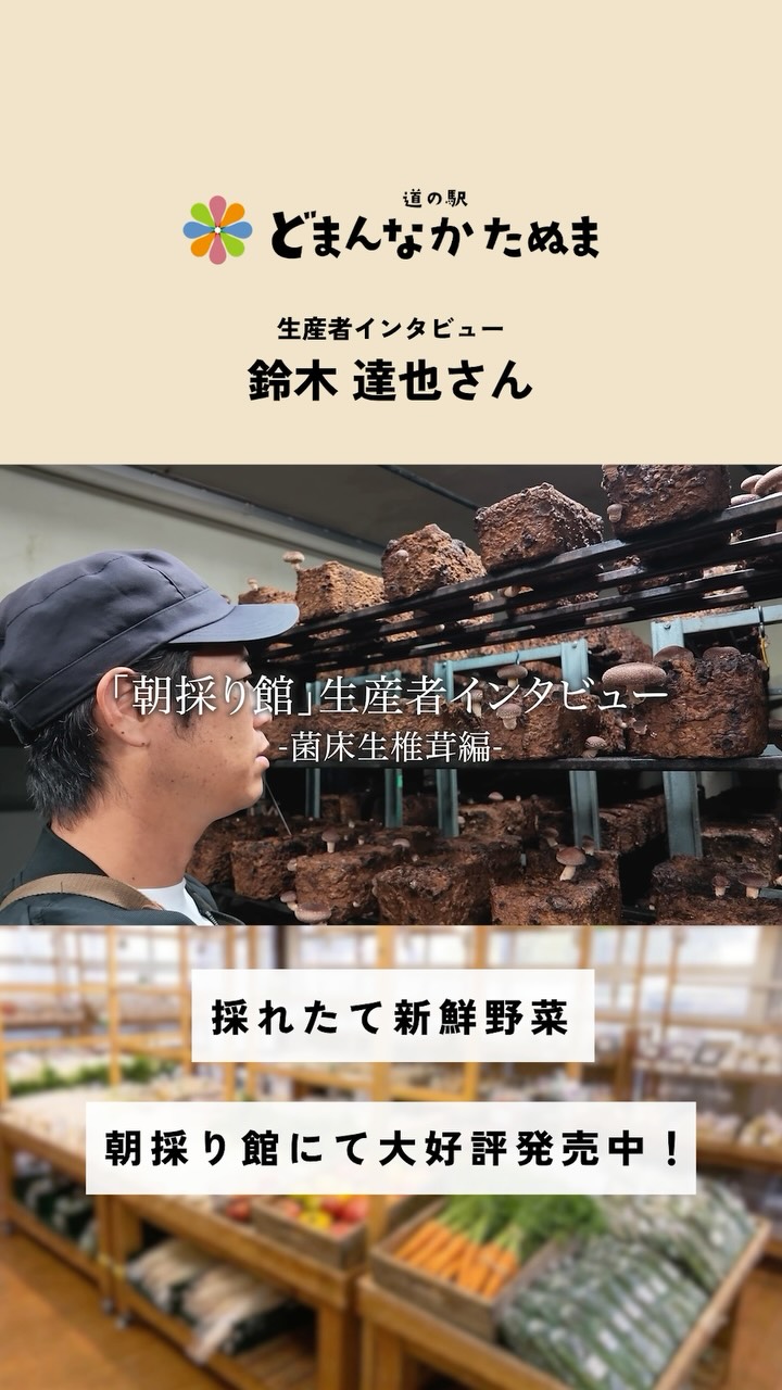 道の駅どまんなかたぬまに並ぶ野菜を見て…「どこで、誰が、どんな想いで育てたんだろう?」と思うことはありませんか?
今回ご紹介するのは、
足利市で菌床生椎茸づくりに励むアグリバンクの鈴木さん
毎日の食卓では何気なく手に取る椎茸も、そのひとつひとつの裏側には、生産者さんの手間と工夫、
そして「おいしいものを届けたい」という想いがあります
今回、実際に栽培の現場を訪ね、
椎茸が育つ様子や鈴木さんの仕事へのこだわりを
見せていただきました
作る人を知ると、
いつもの野菜がちょっと特別に見えてくる
どまんなかたぬまでは、
そんな地域の生産者さんが育てた農産物が
今日も並んでいます
お買い物の際は
ぜひ生産者さんの名前にも注目してみてください