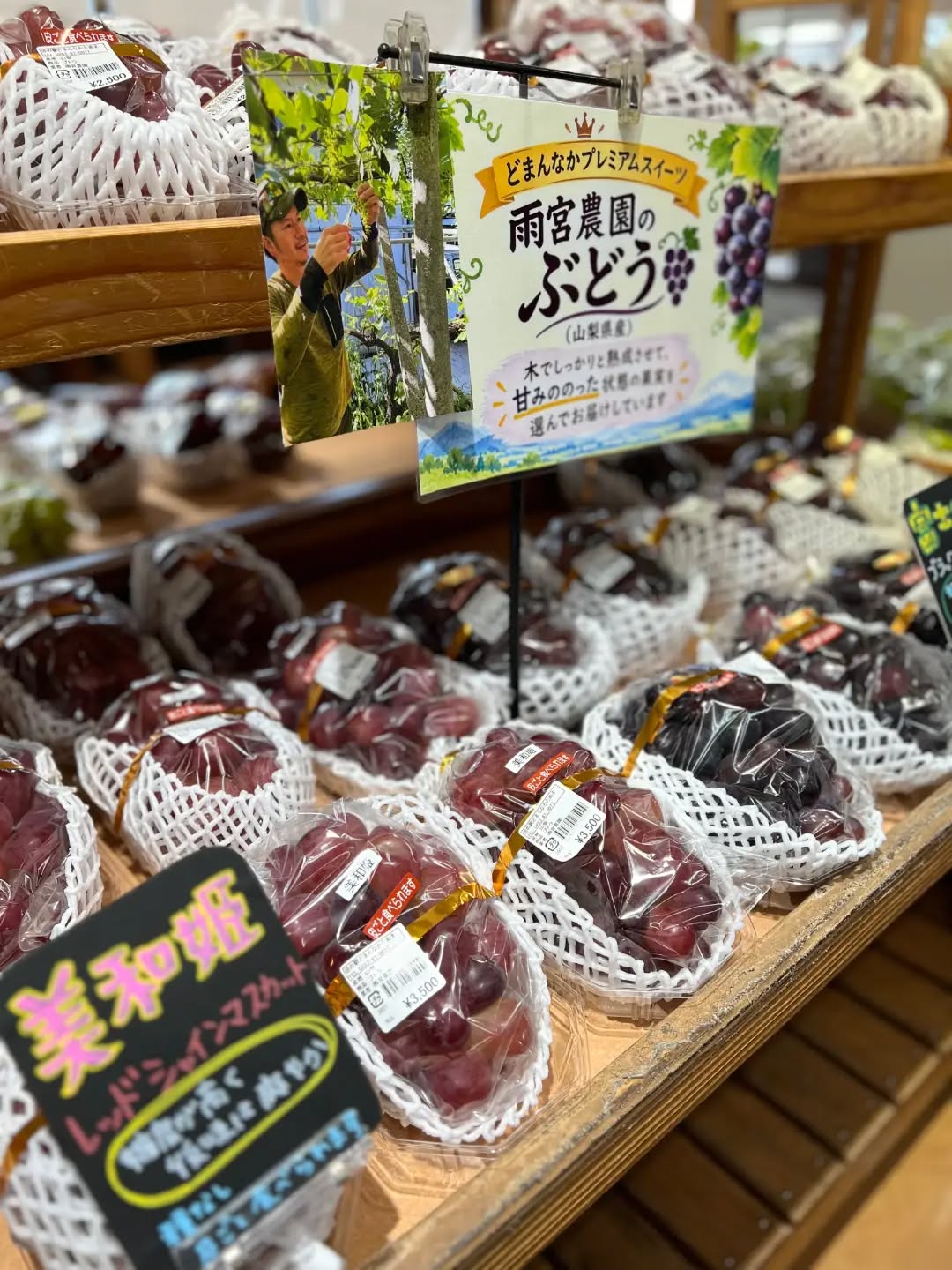 ◯
山梨県　雨宮農園さんのブドウが届きました！

今回は
「レッドシャインマスカット」と言われる
【美和姫】

「ブラックシャインマスカット」と言われる
【富士の輝】です

◯
【美和姫】
鮮やかな美しい赤色が特徴
糖度は高めで後味は爽やか
パリッとした食感

シャインマスカットの血を継いでいるのて
種は無く皮ごと食べられます

◯
【富士の輝】
高い糖度で濃厚な甘みとコクが特徴
パリッとした食感

シャインマスカットの血を継いでいるので
種は無く皮ごと食べられます