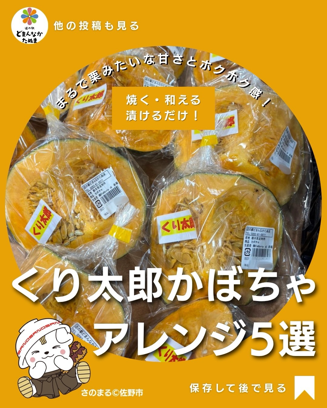 「かぼちゃを買ったけど、また煮物…？」

おいしいけれど、毎回同じ食べ方だと家族もちょっと飽きてしまう。

そんな時に試してほしいのが、くり太郎かぼちゃの簡単アレンジ5選です

今回は難しい料理はなし！

🧈 焼くだけ「塩バター」
🧀 子どもも喜ぶ「チーズもち」
🥢 意外と合う「甘酢漬け」
 おやつ感覚の「のり塩」
🥗 作って便利な「ツナサラダ」

と、その日の献立や気分で選べる5品にしました。

ホクホク系のかぼちゃは、煮物だけでなく焼く・潰す・和えるアレンジにも使いやすいのが魅力。

「夕飯にあと一品欲しい」なら塩バター焼き。
「子どものおやつ」ならチーズもち。
「いつもと違う味にしたい」なら甘酢漬け。
「晩酌のお供」ならのり塩。
「翌日も使いたい」ならツナサラダ。

これなら、かぼちゃを買って余っても「次、何に使おう？」で悩みにくい

直売所で「くり太郎」を見つけた時に思い出せるよう、

 今日作らなくても、保存しておくのがおすすめです！

 ①〜⑤なら、どれを作ってみたいですか？