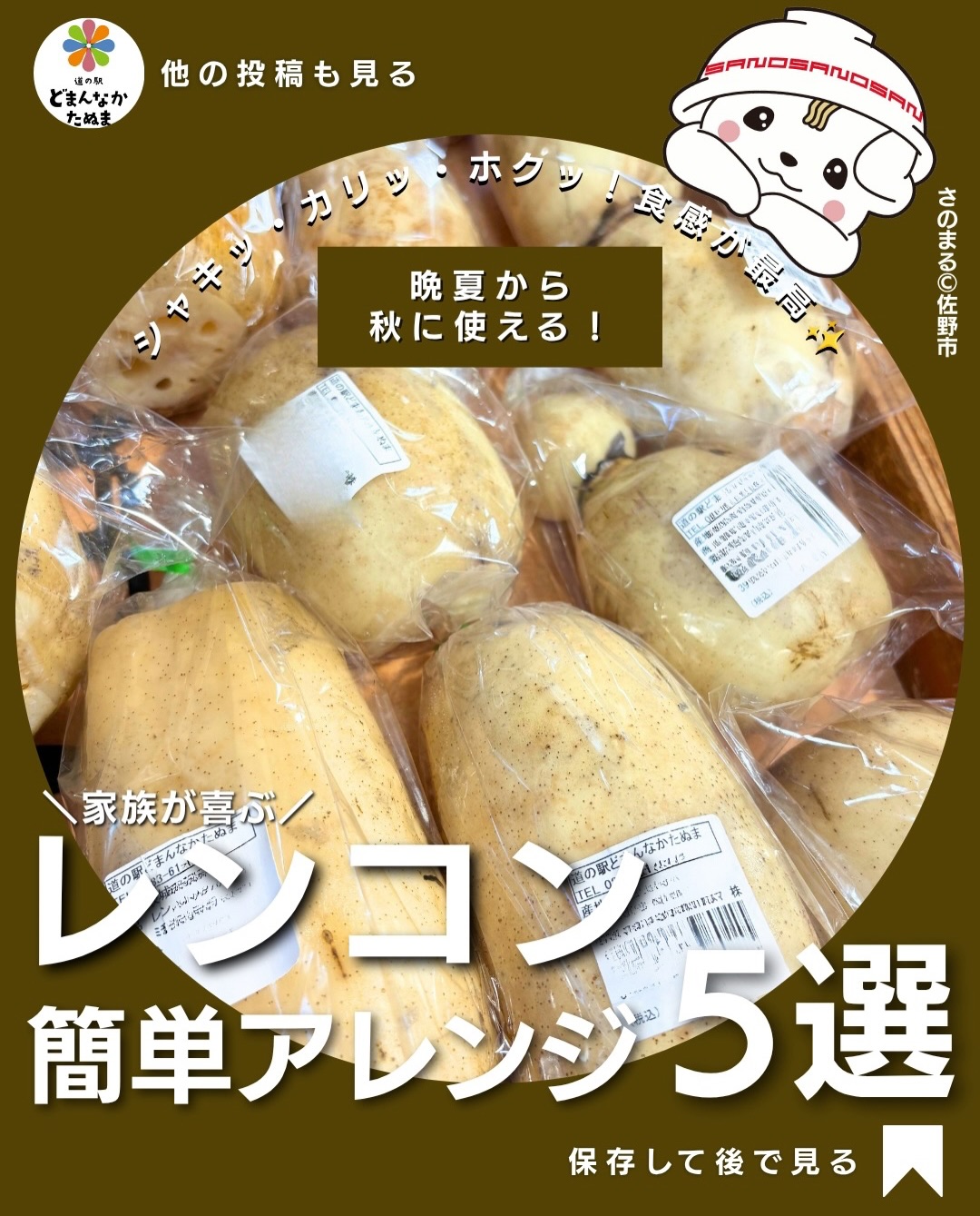 「れんこん買ったけど、結局いつもきんぴら…」

そんな方に試してほしい、簡単れんこんアレンジ5選です

シャキシャキした食感がおいしいれんこんは、実は和食だけじゃなく、チーズ・マヨネーズ・バターとも相性◎。

今回は、

🧀 子どもにも → チーズ焼き
 おつまみに → のり塩
🥗 あと一品に → ツナマヨ
 ご飯のおかずに → 甘酢
🧈 食べ応え重視 → バター醤油

と、その日の献立に合わせて選べる5種類にしました。

どれも難しい工程なし。
「今日は何作ろう？」と迷った日に、冷蔵庫にある調味料でサッと作れます。

特におすすめはカリカリ甘酢れんこん。
味付けは「しょうゆ・酢・砂糖＝1：1：1」なので、レシピを見なくても覚えやすいですよ

晩夏から秋へ。
少しずつ秋らしい食材が食べたくなる季節に、ぜひ旬のれんこんを食卓へ。

 れんこんを買った日に困らないように保存！

「これ作りたい！」と思ったものがあったら、①〜⑤をコメントで教えてください