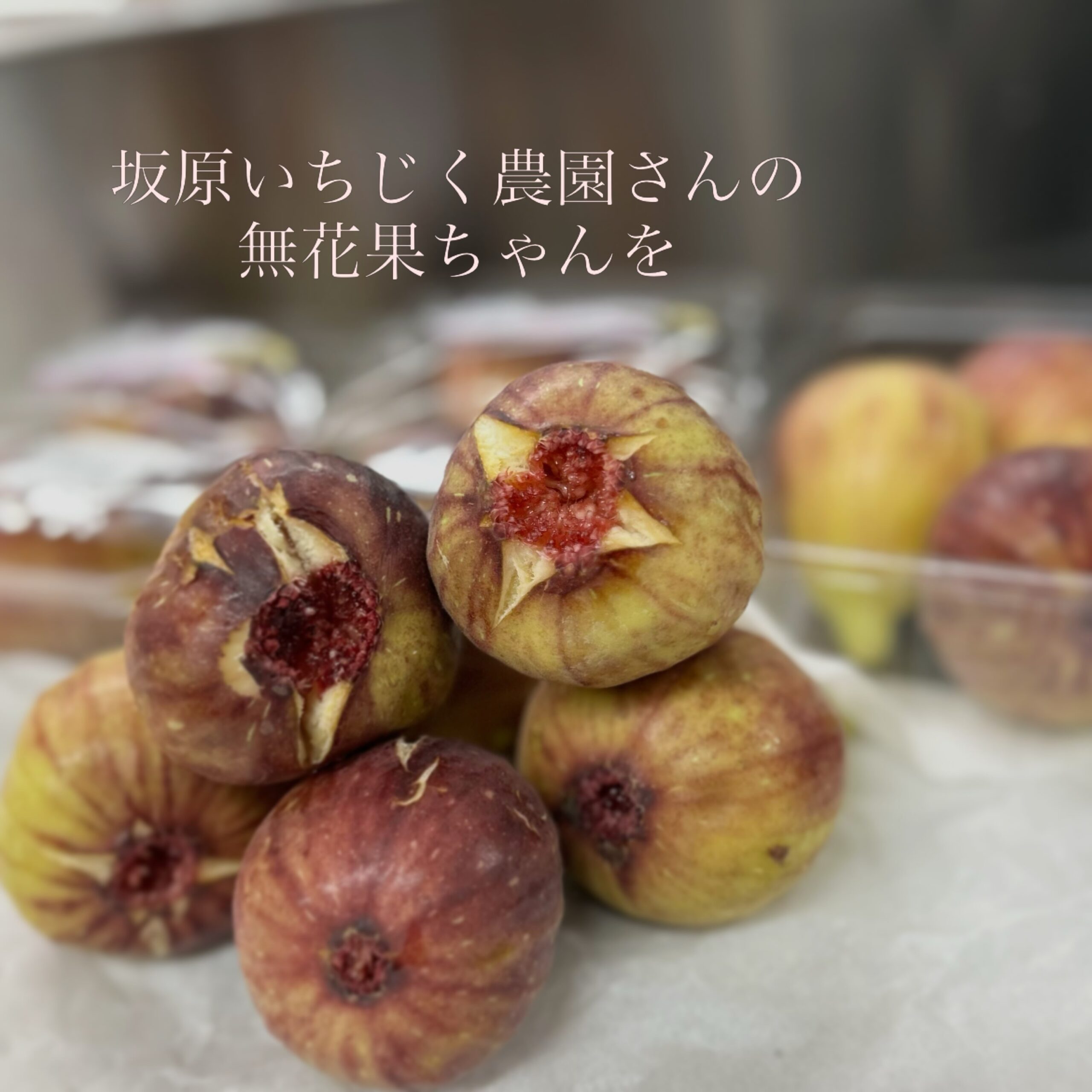 こんにちは
ジェラート倶楽部です
秋ジェラート始まりました〜
大人気の
坂原いちじく農園の
とって〜も美味しい
完熟無花果ちゃん達を
たっぷり使った
「 無花果のチーズケーキ 」
濃厚クリームチーズのジェラートに
自家製米粉のクランブルと
有機レモンの自家製ジュレ
数量限定なので
お早やめにどうぞ
「 無花果のパルフェ 」
パルフェのような
ジェラート
tra poco‥
お楽しみに・:*+.(( °ω° ))/.:+
そうそう
笠間の栗ジェラート
今日からです
本日も元気に
皆さまをお待ちしております♪