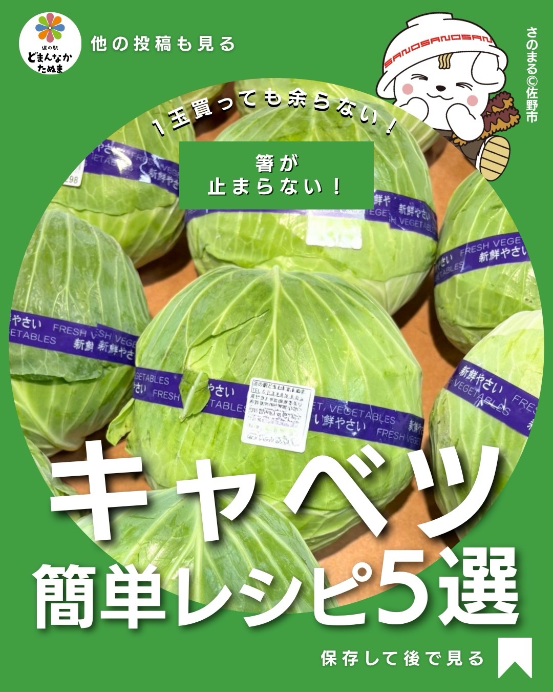 🥬 キャベツって1玉買うと余りませんか？

千切り、炒め物、野菜炒め……。

使いやすい野菜だからこそ、気づくと「また同じ食べ方になってる！」なんてことも。

そこで今回は、まだ暑さが残る夏の終わりに使いやすい
「晩夏のキャベツ簡単アレンジ5選」をまとめました

暑くて火を使いたくない日は、梅おかかキャベツ。

夕飯を考えるのも面倒な日は、キャベツと豚肉を重ねて蒸すだけ。

ちょっと一杯のお供が欲しい日は、カリカリチーズ焼き

さらに、冷蔵庫に作り置きしておける甘酢漬けなら、「あと一品ほしい！」という時にも便利です。

そして、ぜひ一度やってほしいのがキャベツのステーキ。

芯を残して大胆に焼くと、いつものキャベツがちょっとごちそうに。焦がし醤油バターを絡めれば、家族にも喜ばれる一皿になります

副菜・メイン・おつまみ・作り置き・変わり種。

5つ覚えておけば、大きなキャベツを買っても大丈夫

道の駅で立派なキャベツを見つけた日のために……

 今すぐ保存して、献立に困った日に見返してください！

 皆さんなら①〜⑤、最初にどれを作りますか？