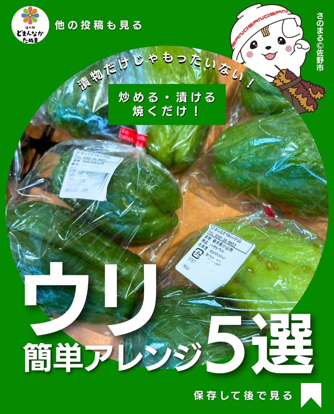 ウリって、漬物にするだけだと思っていませんか？🥒

秋の直売所で見かける大きな「ウリ」。気になるけれど、どうやって料理すればいいか分からない…という方も多いのでは？

実は、ウリは味にクセが少なく、炒め物からサラダ、チーズ焼きまで幅広く使える便利な野菜なんです！

今回は、道の駅どまんなかたぬまで見つけた栃木県小山市産のウリを使った、簡単アレンジ5選をご紹介！

まず試してほしいのが「ごま塩浅漬け」。薄く切って塩揉みし、ごま油と白ごまを混ぜるだけ。ポリポリした食感が楽しく、ご飯のお供にもぴったりです🤤

ちょっと意外なのが「チーズ焼き」🧀

ウリの淡白な味わいとチーズのコクがよく合って、いつもの野菜料理が洋風のおかずに大変身！

さらに、豚バラと甘辛く炒めれば、ご飯が進むボリュームおかずに。ツナマヨと和えれば、忙しい日にうれしい簡単副菜になります。

そして、お酒好きな方には「バターしょうゆ焼き」もおすすめ

フライパンでこんがり焼いて、しょうゆを絡めるだけ。香ばしさとウリのみずみずしさが楽しめます！

ちなみに、今回使うのは写真にある「イトウリ」。

皮をむいて種を取り除けば、普段の野菜と同じように調理できます。加熱すると柔らかくなるので、炒め物や焼き物にもおすすめです。

「毎日の献立がマンネリ気味…」 「旬の野菜をもっとおいしく食べたい！」

そんな時こそ、ウリを取り入れてみてください

秋の食材探しに、ぜひお立ち寄りください！

 ウリを買った時のために保存！  ①〜⑤、どれが一番気になりますか？