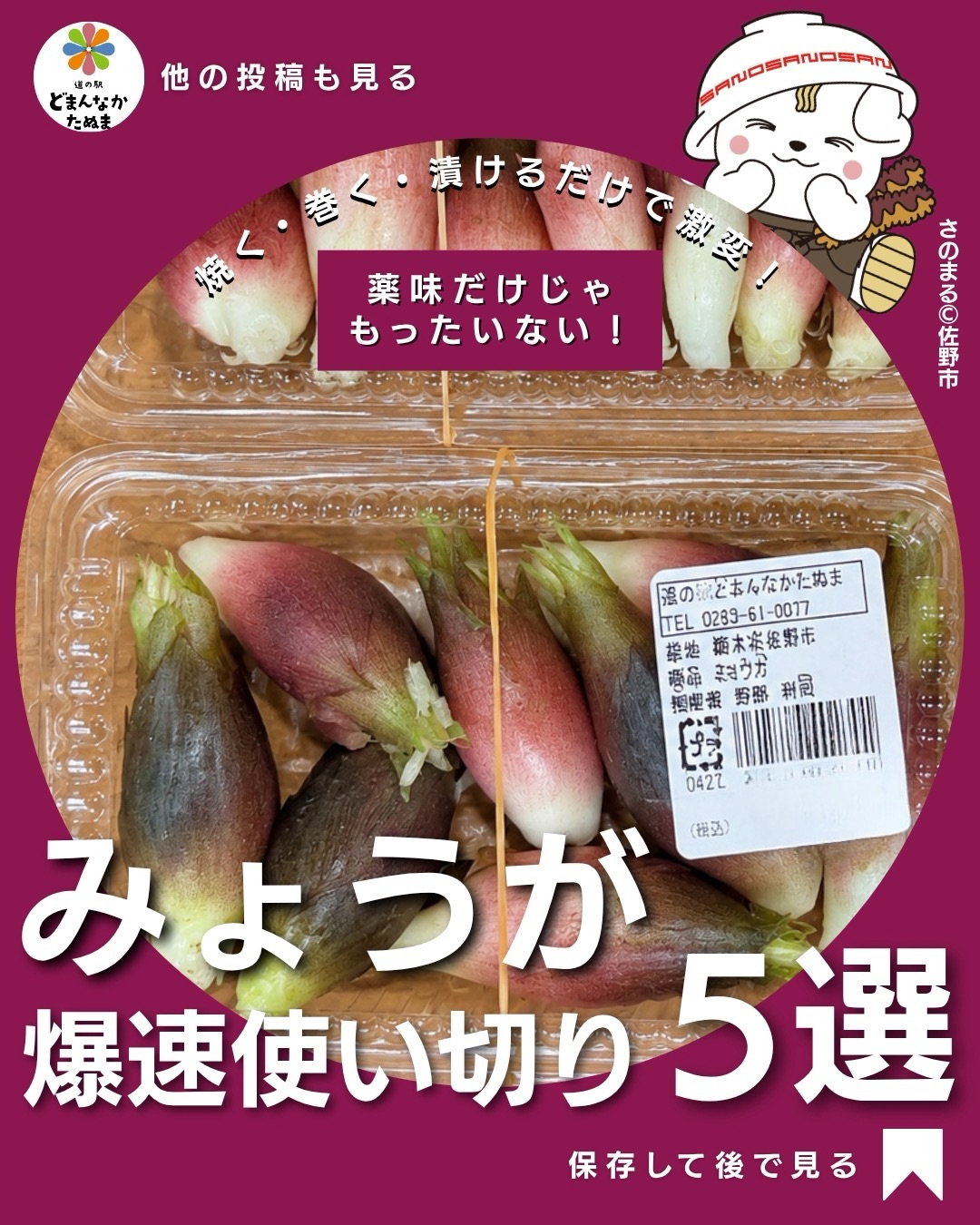 「みょうがを買ったけど、薬味に少し使って残っちゃった…」

そんな経験ありませんか？

実はみょうが、刻んでのせるだけじゃもったいない！

漬ける・巻く・焼く・のせるだけで、晩夏の食卓にぴったりな一品に変身します。

 作り置きなら「甘酢漬け」
🥩 家族のおかずなら「豚バラ巻き」
🧀 晩酌には「チーズ焼き」
 あと一品なら「焼きみょうが」
🥢 暑くて料理したくない日は「ツナ冷奴」

どれも特別な調味料は必要なし。「みょうがが余った！」という日に見返せる5選にしました

薬味として爽やかに食べるのはもちろん、加熱するとまた違ったおいしさを楽しめます。

 今すぐ作らなくても、みょうがを買った日のために保存！

①〜⑤、どれが気になりますか？
コメントで教えてください
