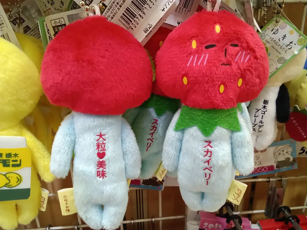 こんにちは♪

に
新たな仲間が加わりました🫶

ゆきお
大粒で美味が特徴のスカイベリー
照れたお顔が可愛いです🥺

ぜひ、集めてみてください！！